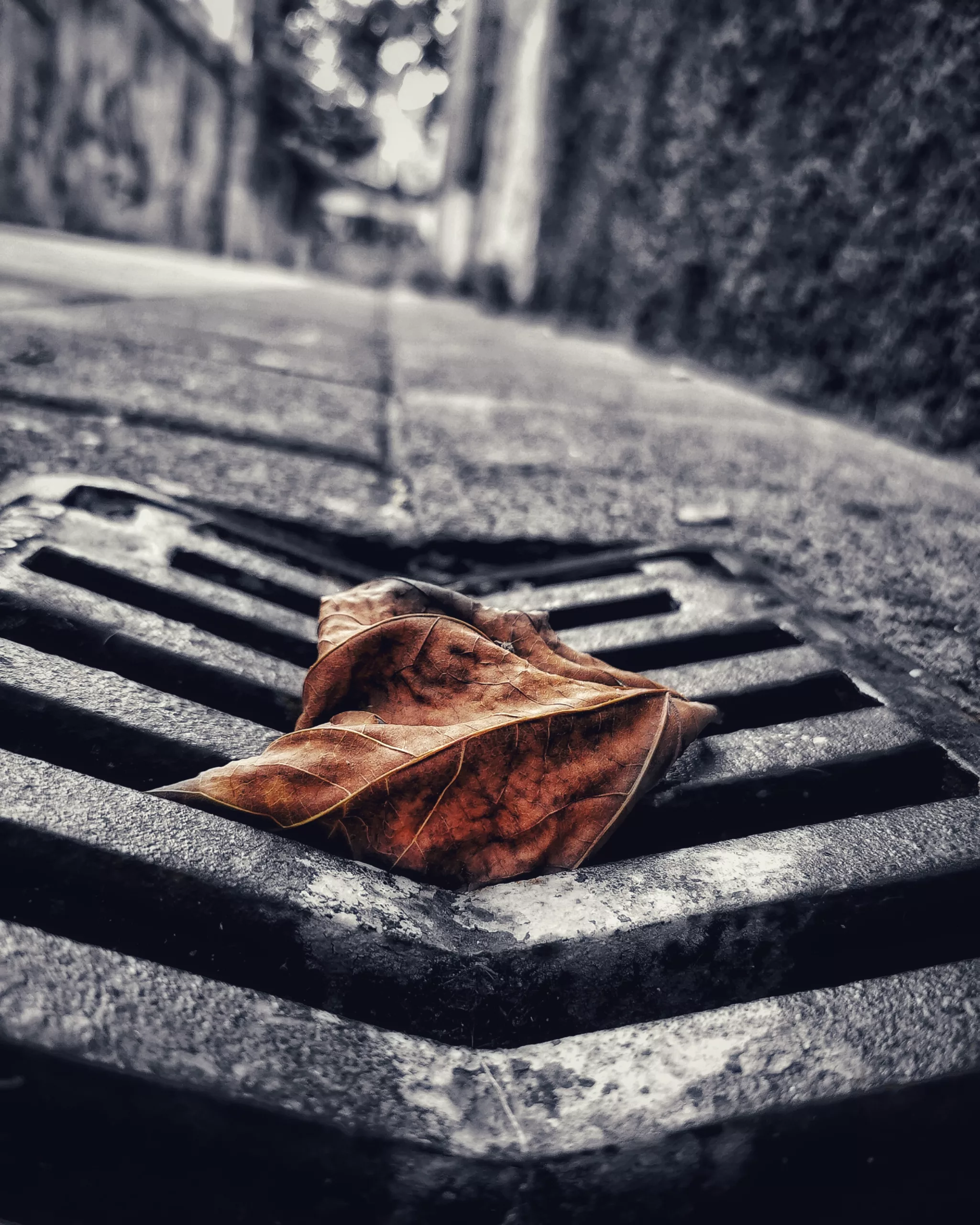 Los pequeños detalles 20 – Fotografía creativa móvil en Barakaldo | Ibarakaldo