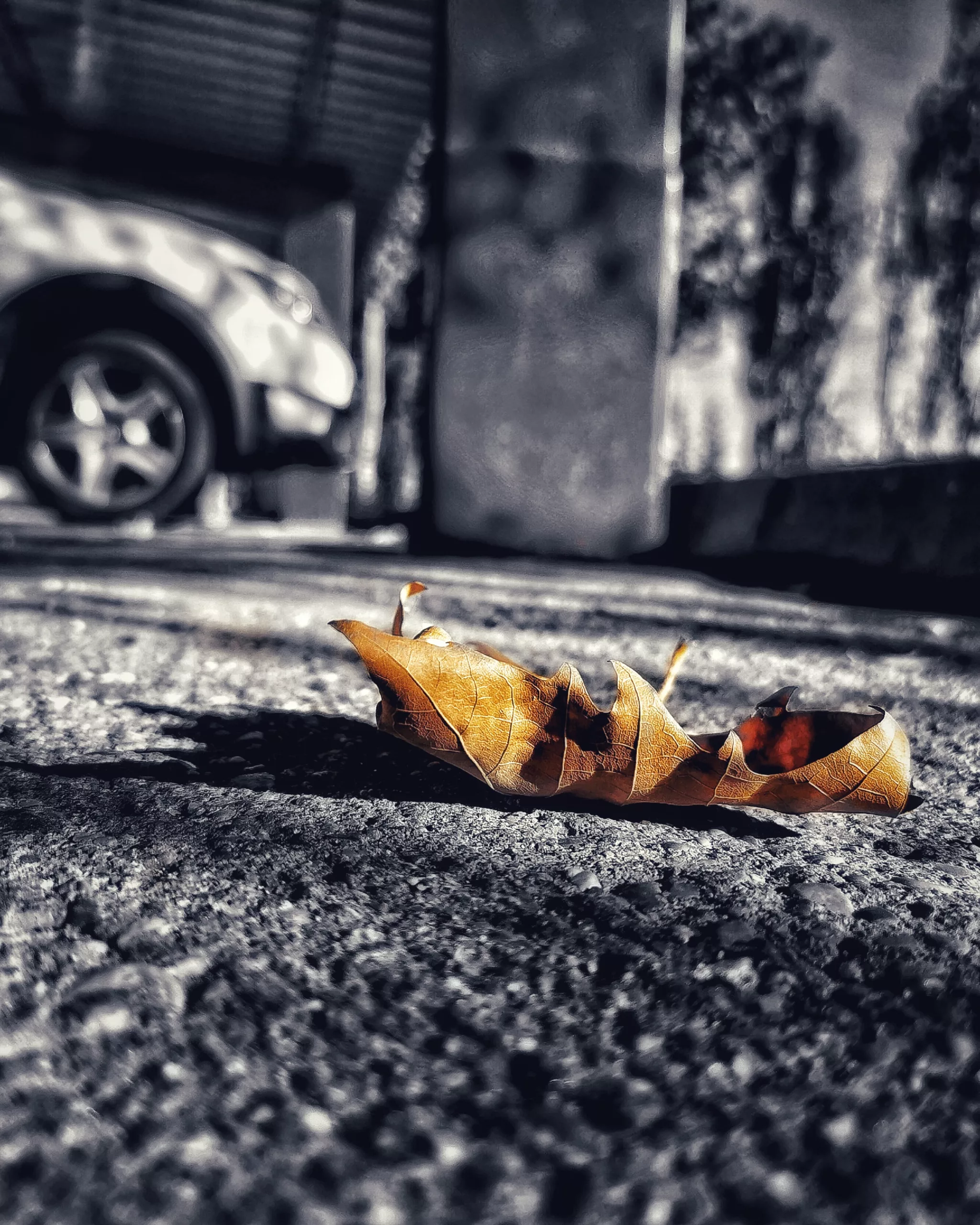 Los pequeños detalles 25 – Fotografía creativa móvil en Barakaldo | Ibarakaldo