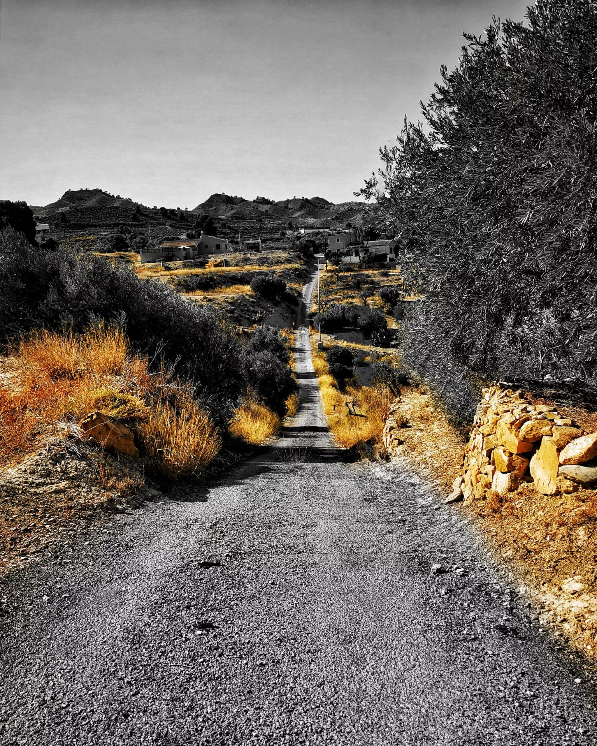 Diseminado Macicandu | Momentos Splash. Fotografía Creativa Ibarakaldo