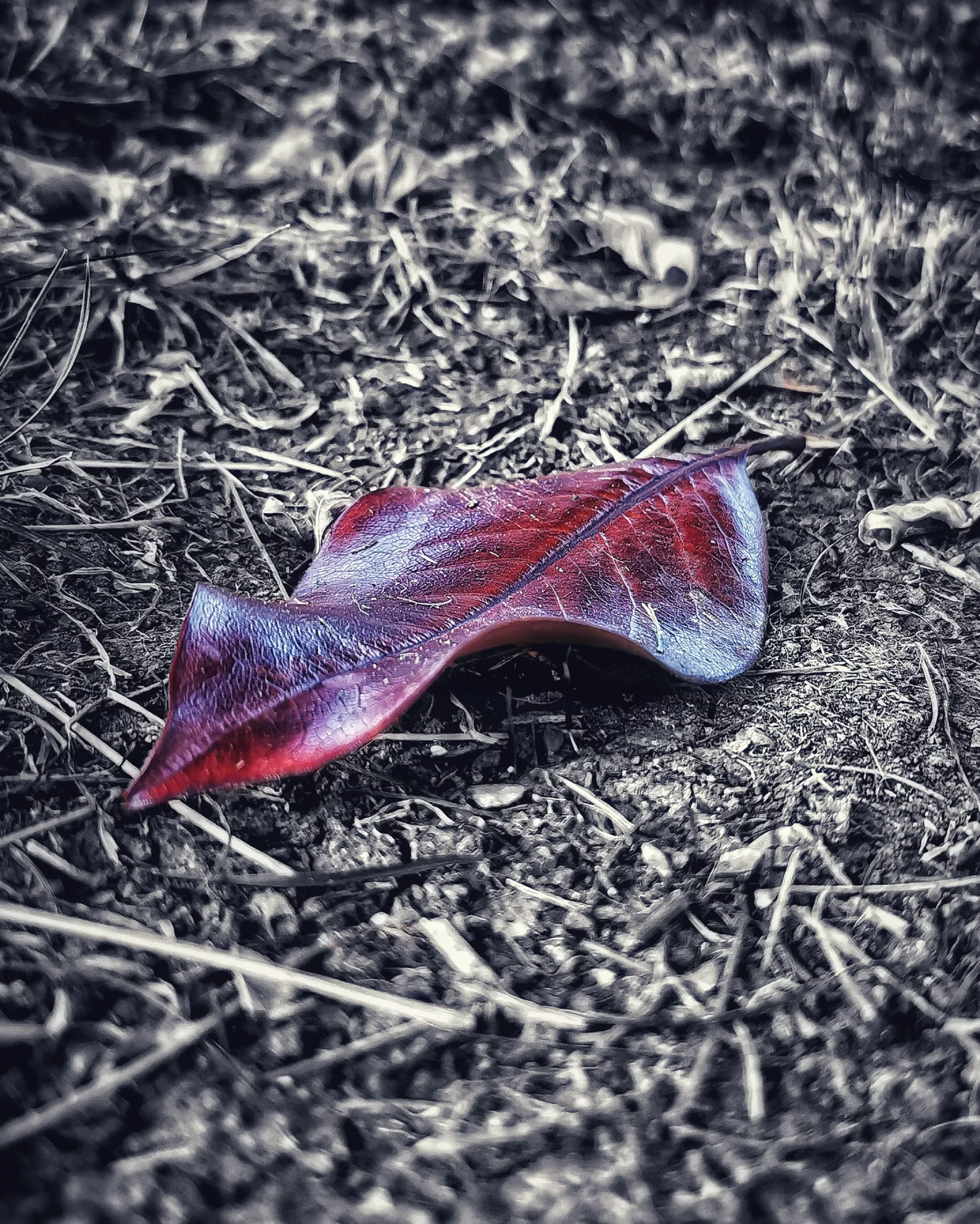 Los pequeños detalles 33 – Fotografía creativa móvil en Barakaldo | Ibarakaldo