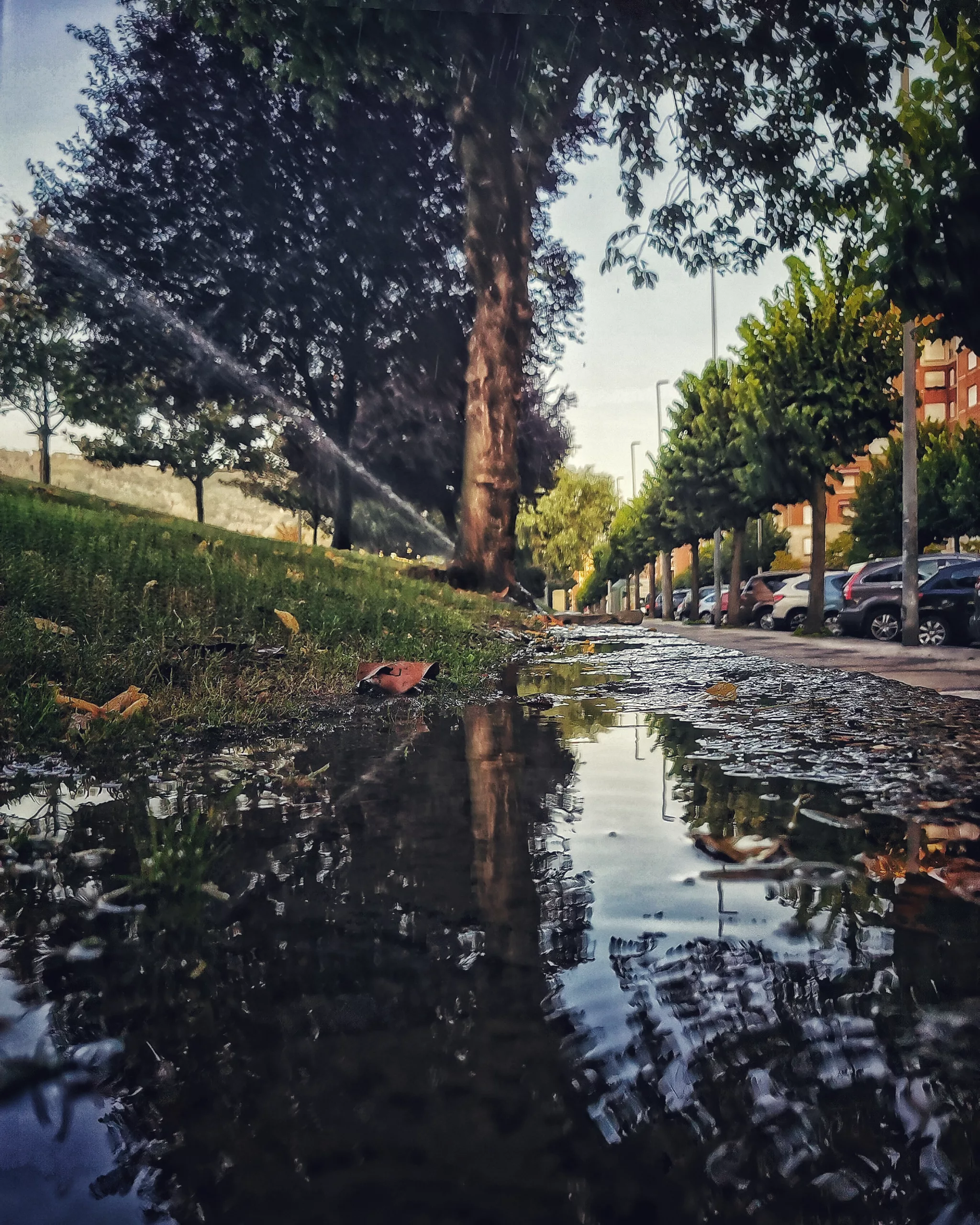 Reflejos 87 – Fotografía creativa móvil en Barakaldo | Ibarakaldo