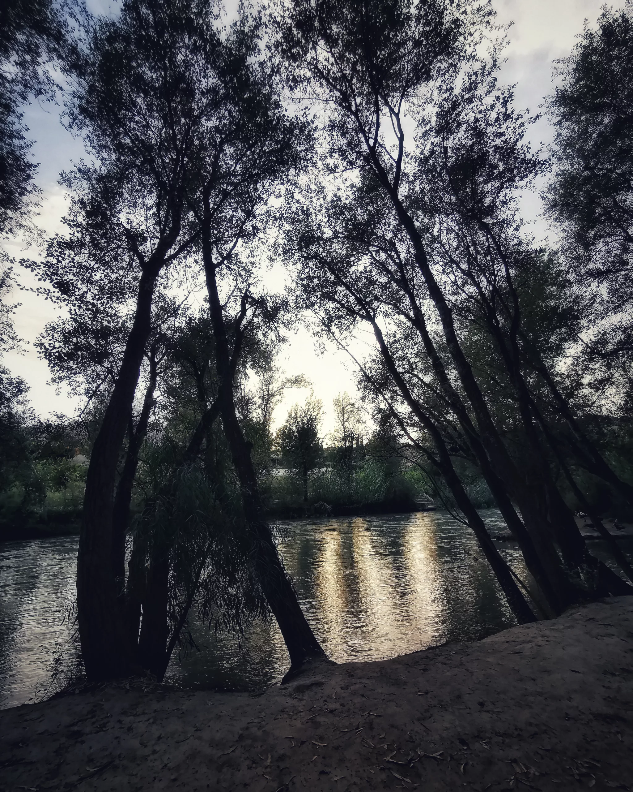 Río Segura – Fotografía creativa móvil en Murcia| Ibarakaldo