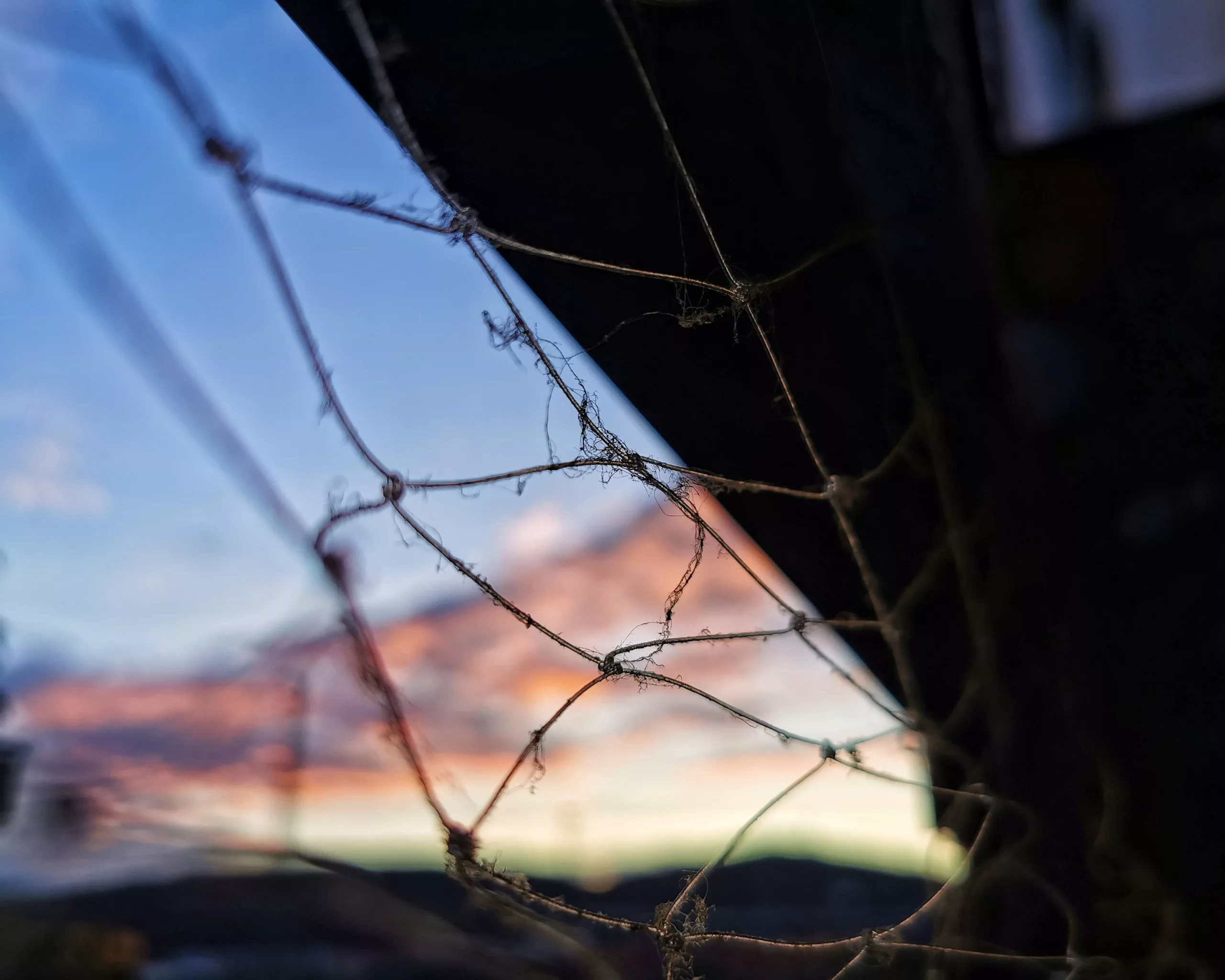 Despertar… – Fotografía creativa móvil en Barakaldo | Ibarakaldo