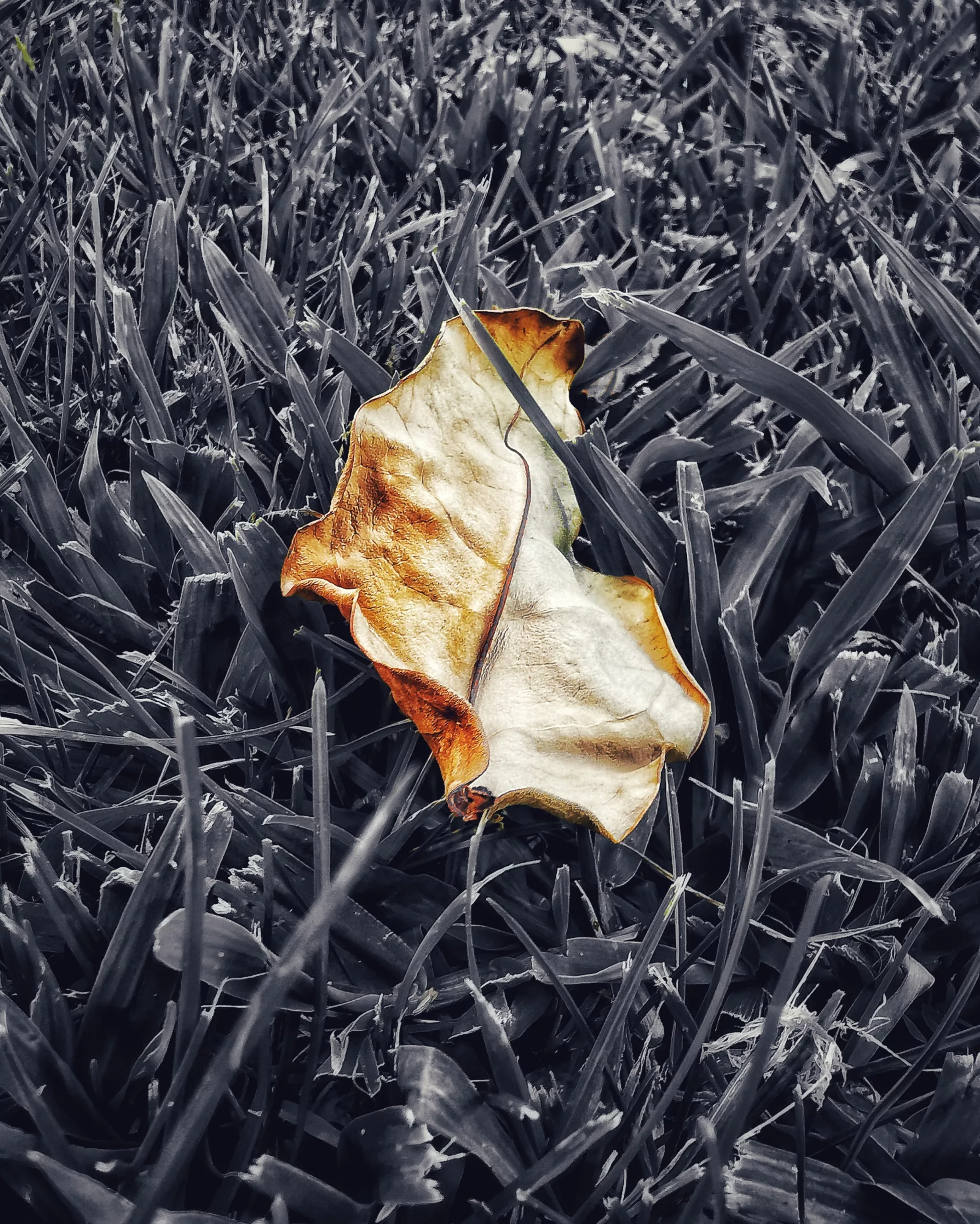 Los pequeños detalles 29 – Fotografía creativa móvil en Barakaldo | Ibarakaldo