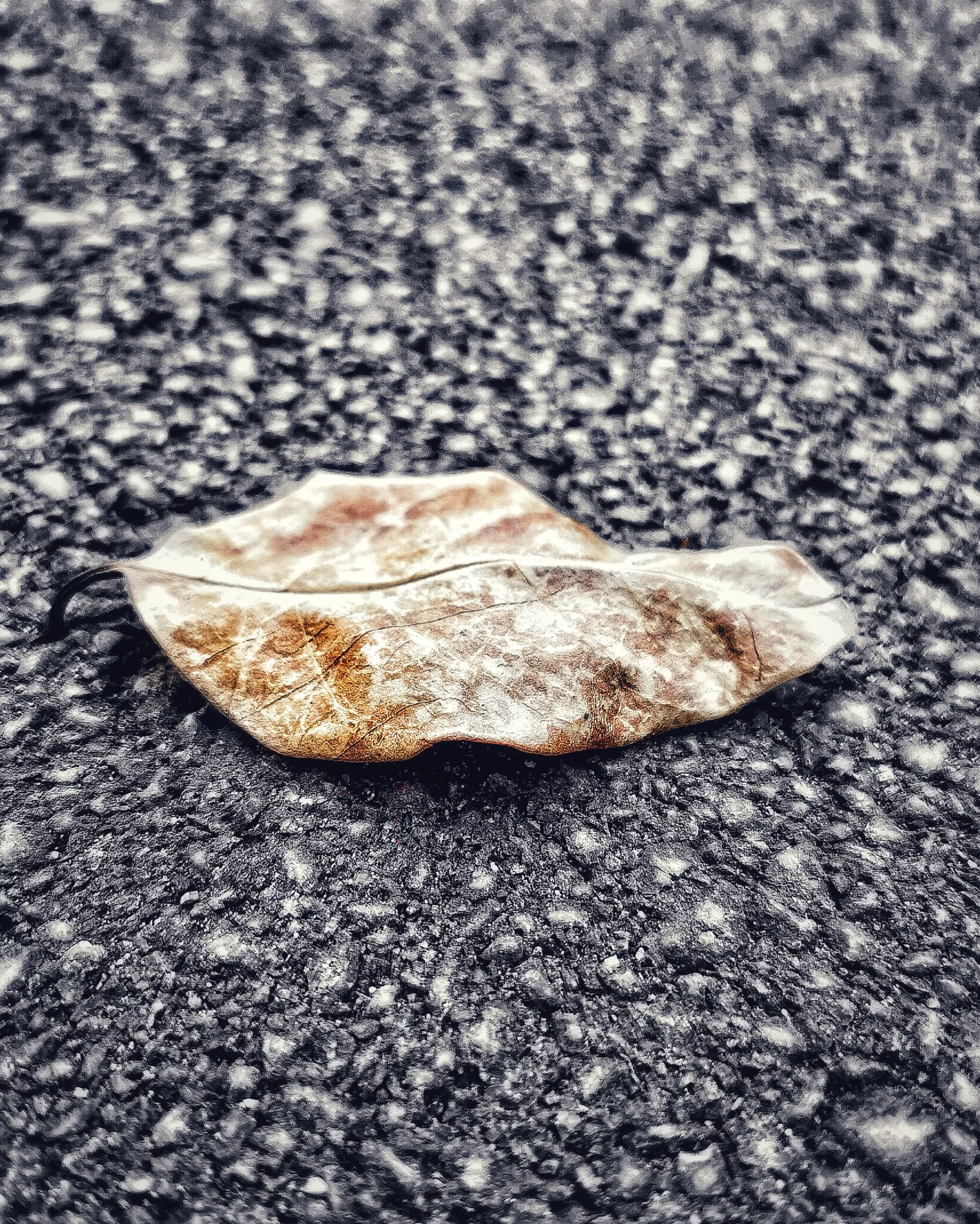 Los pequeños detalles 28 – Fotografía creativa móvil en Barakaldo | Ibarakaldo