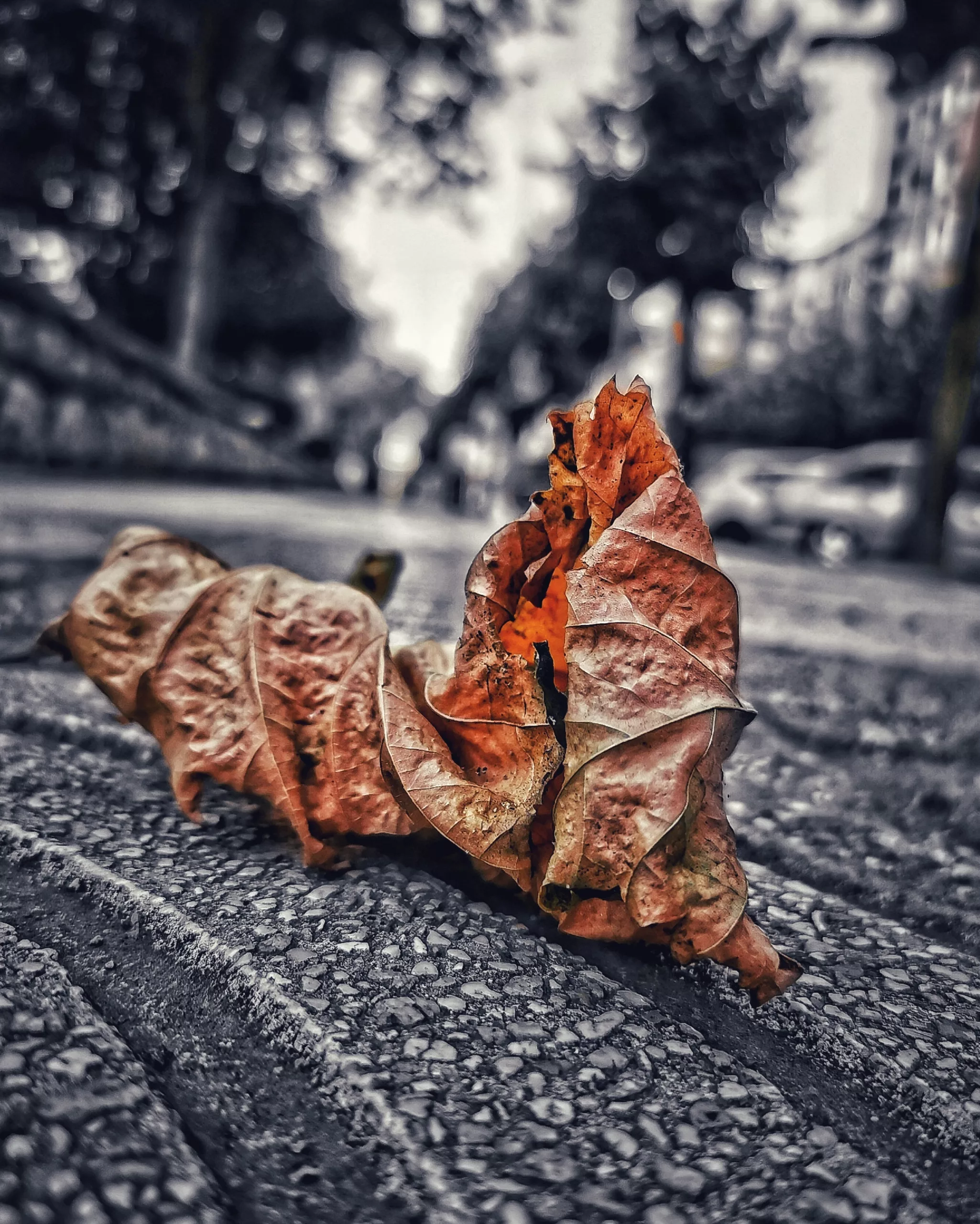 Los pequeños detalles 30 – Fotografía creativa móvil en Barakaldo | Ibarakaldo