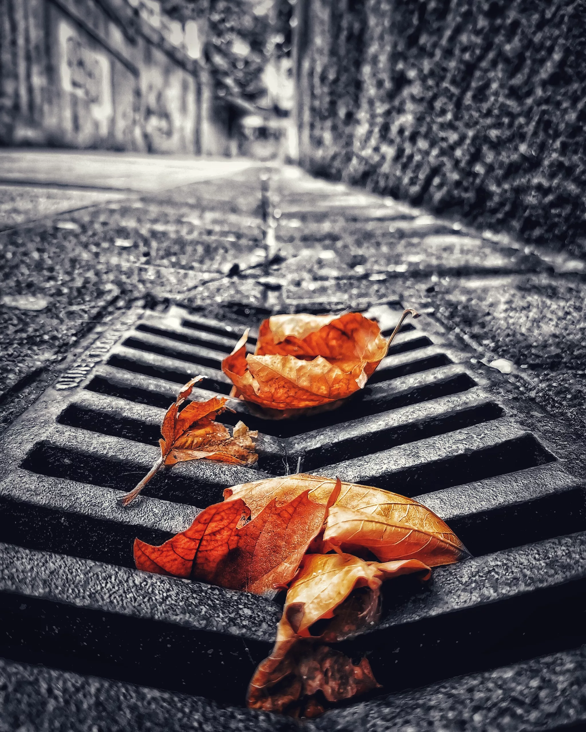 Los pequeños detalles 36 – Fotografía creativa móvil en Barakaldo | Ibarakaldo