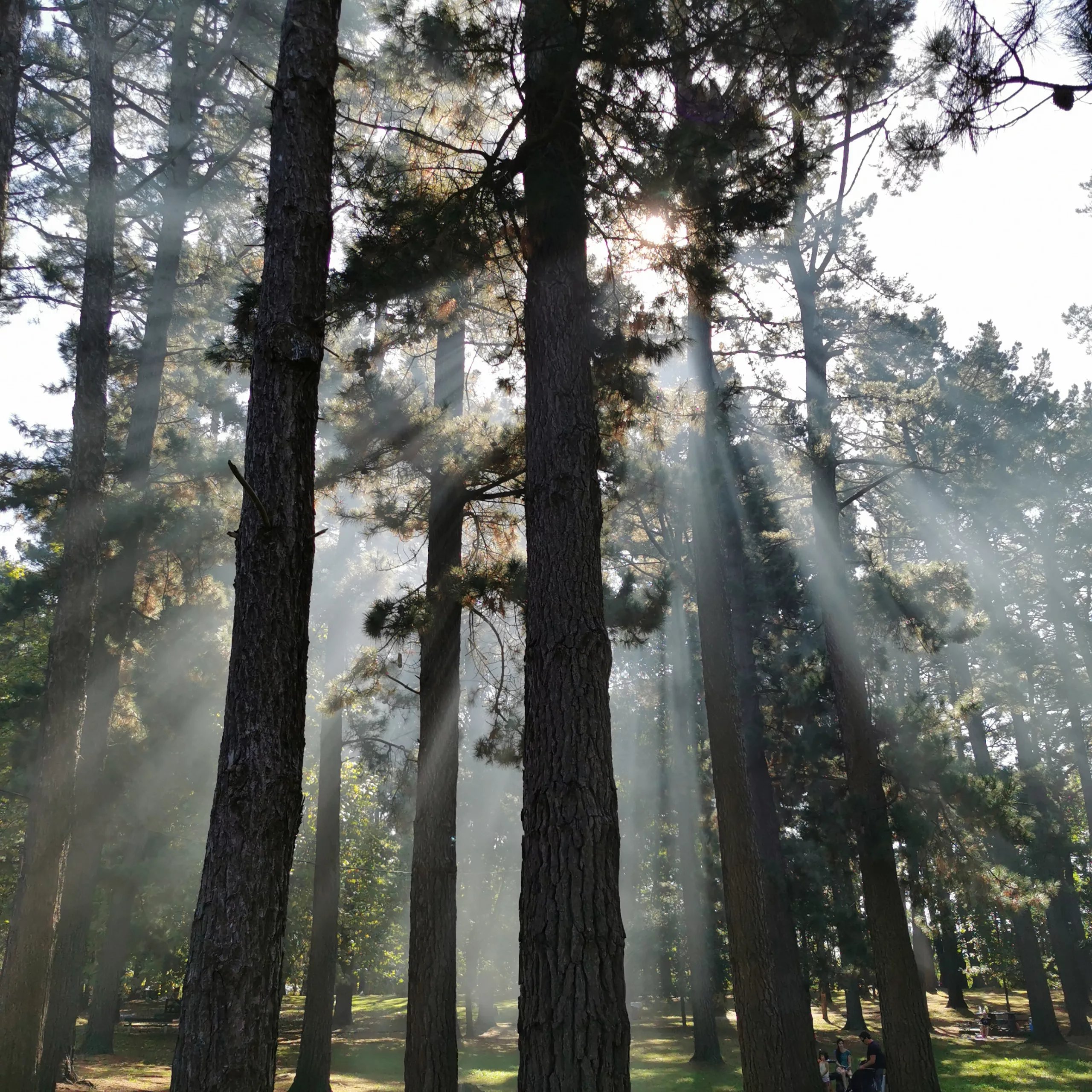 Freedom 3 – Fotografía creativa móvil en Barakaldo | Ibarakaldo