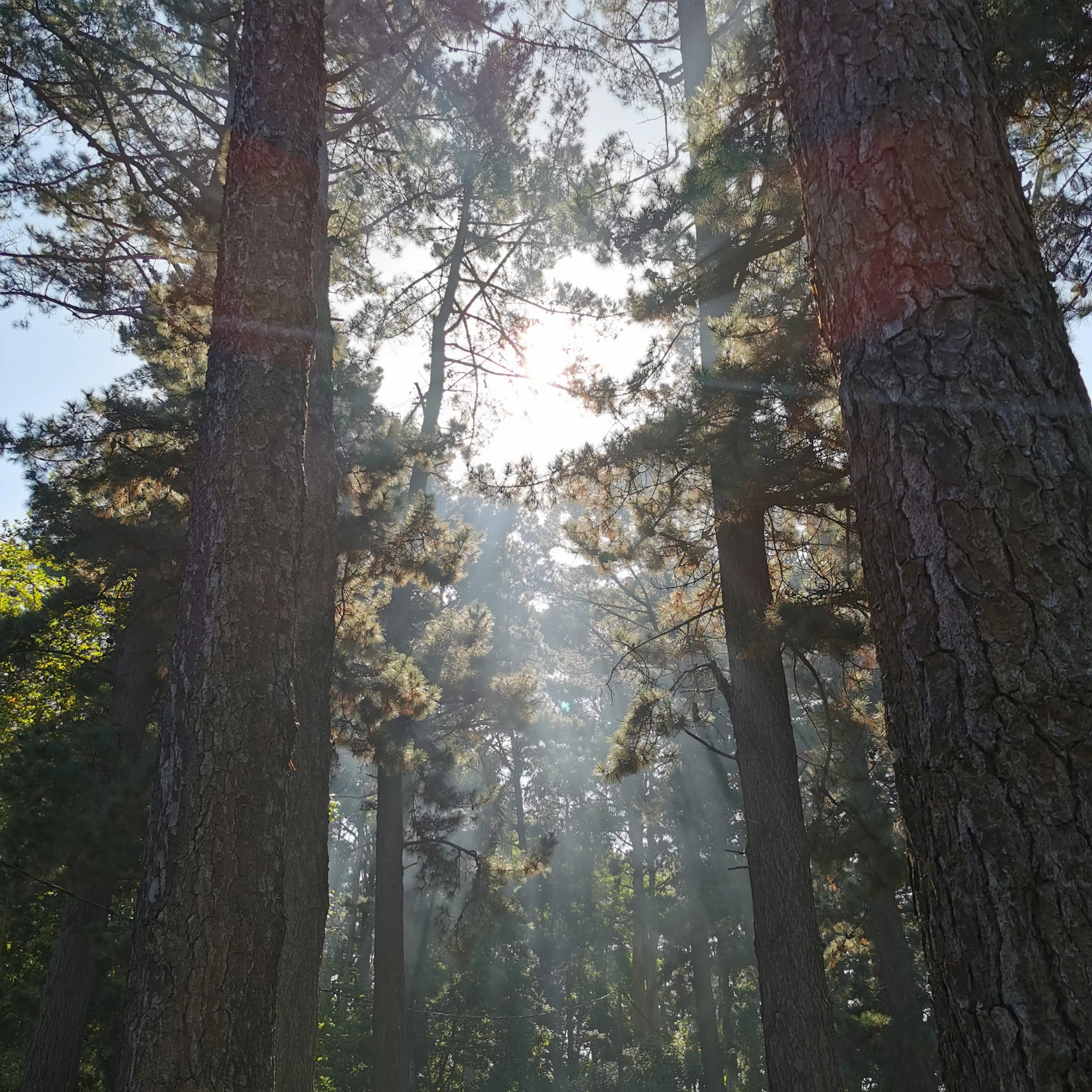 Freedom 2 – Fotografía creativa móvil en Barakaldo | Ibarakaldo