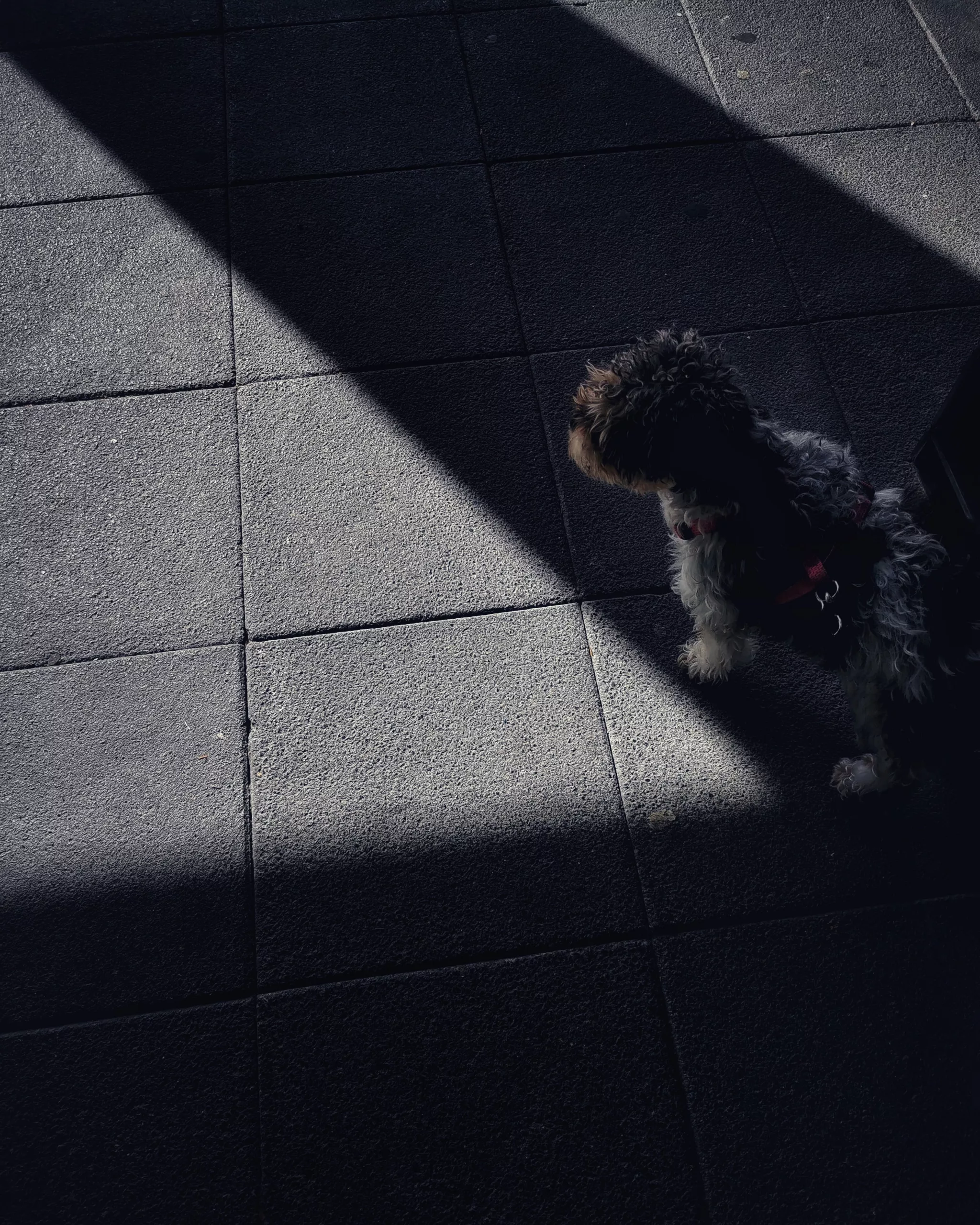 WAITing | Aventuras y Travesuras de  Kenya