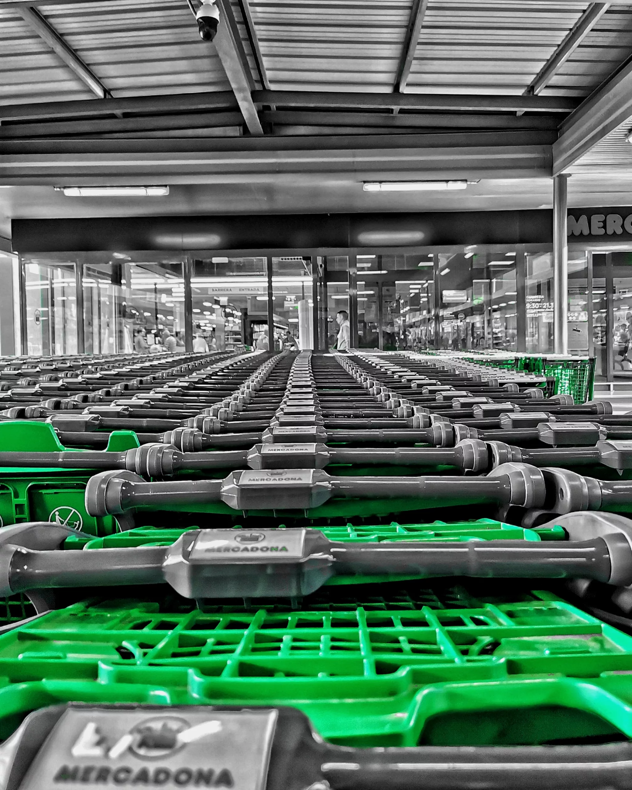 Piensa en VERDE… | Momentos Splash. Fotografía Creativa Ibarakaldo