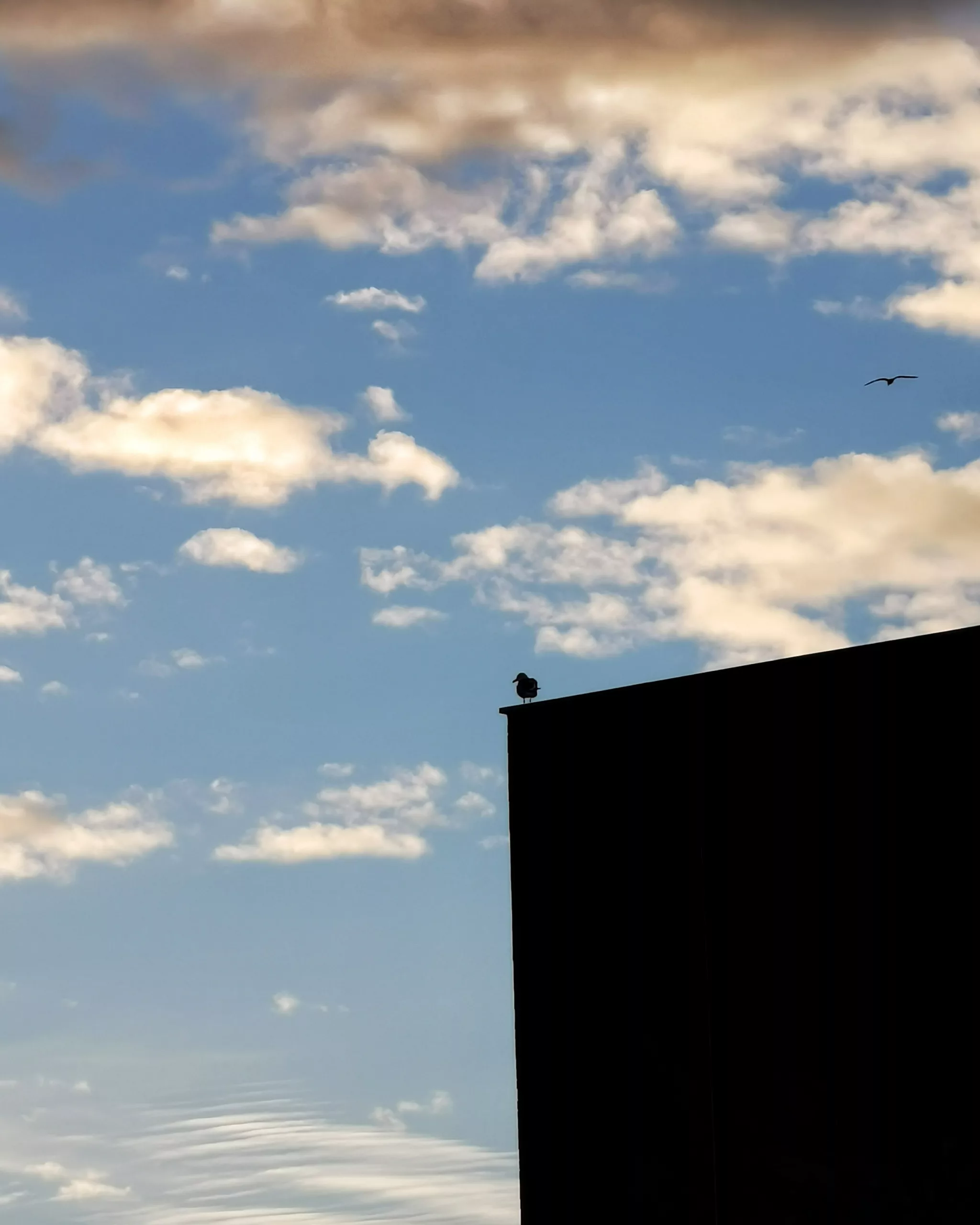 Sin novedad en el frente 2… – Fotografía creativa móvil en Barakaldo | Ibarakaldo