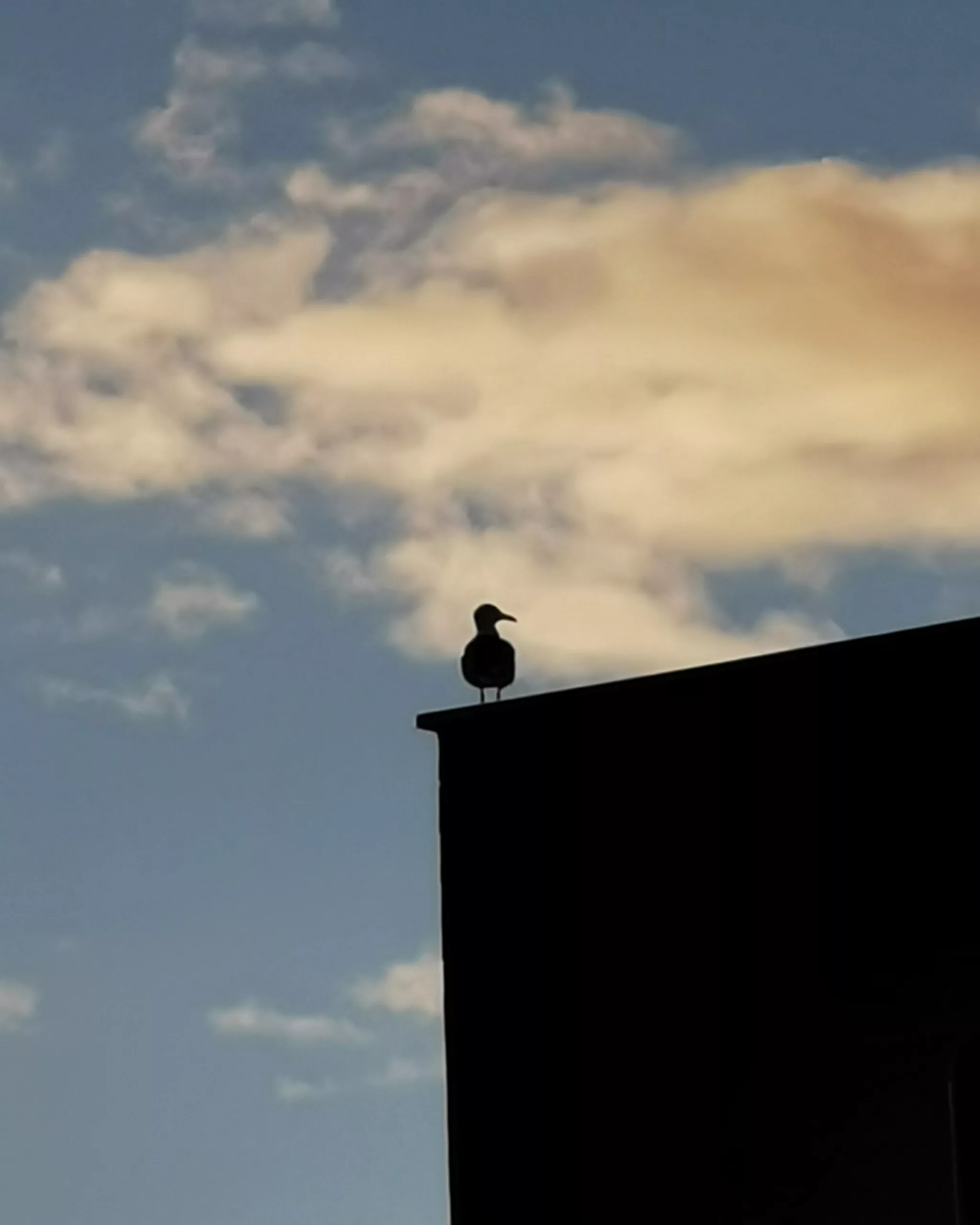 Sin novedad en el frente – Fotografía creativa móvil en Barakaldo | Ibarakaldo