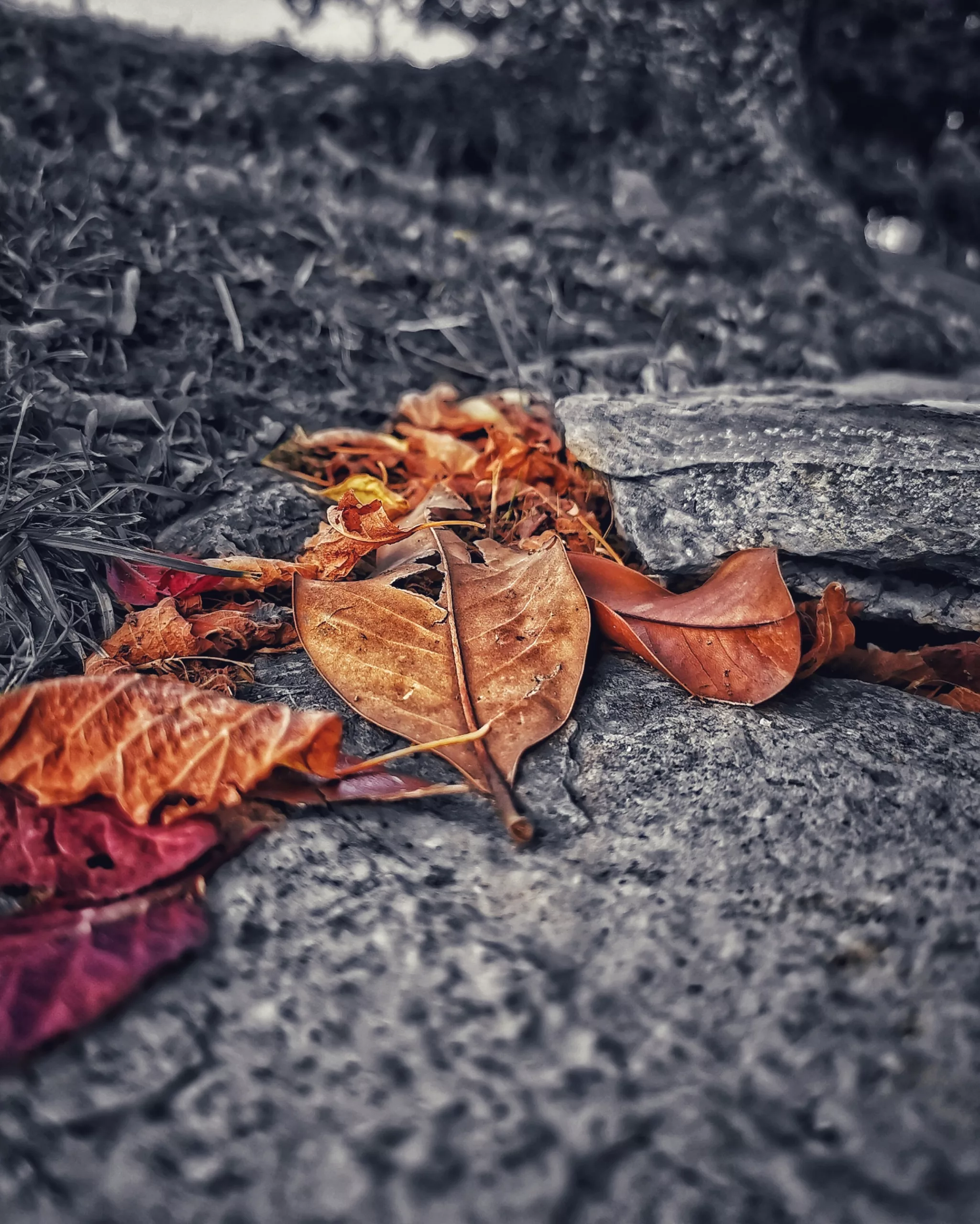 Los pequeños detalles 34 – Fotografía creativa móvil en Barakaldo | Ibarakaldo