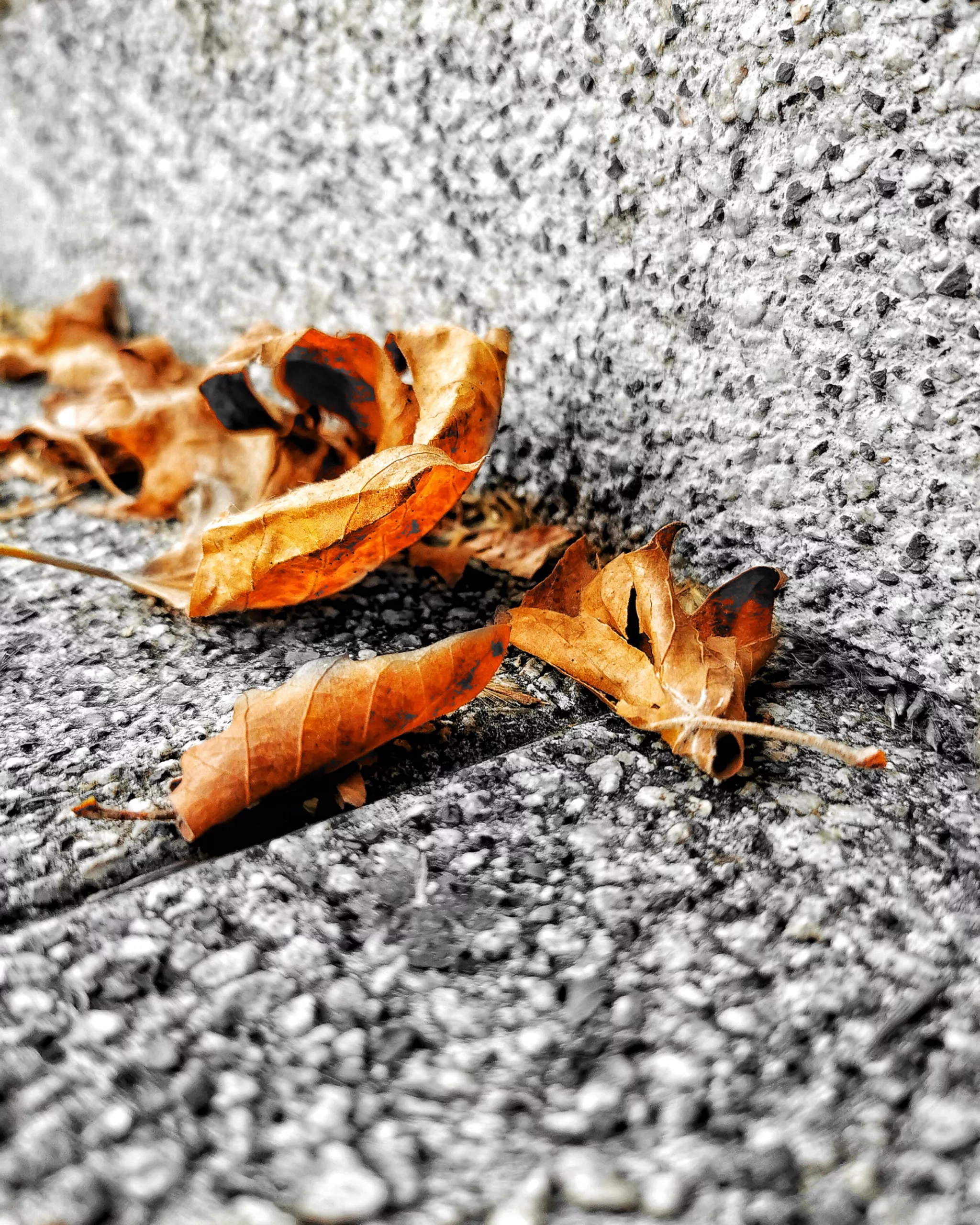 Los pequeños detalles 35 – Fotografía creativa móvil en Barakaldo | Ibarakaldo