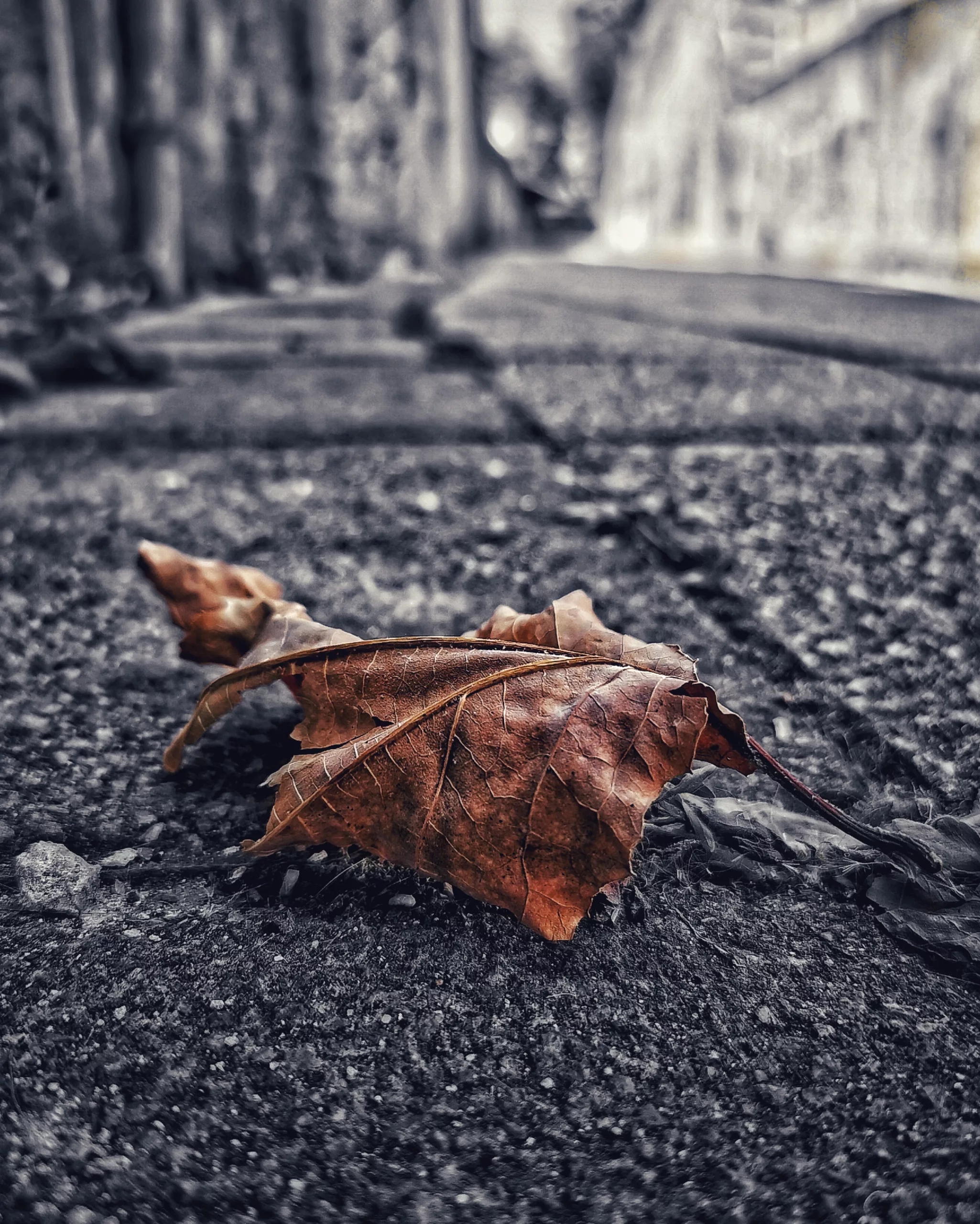 Los pequeños detalles 38 – Fotografía creativa móvil en Barakaldo | Ibarakaldo