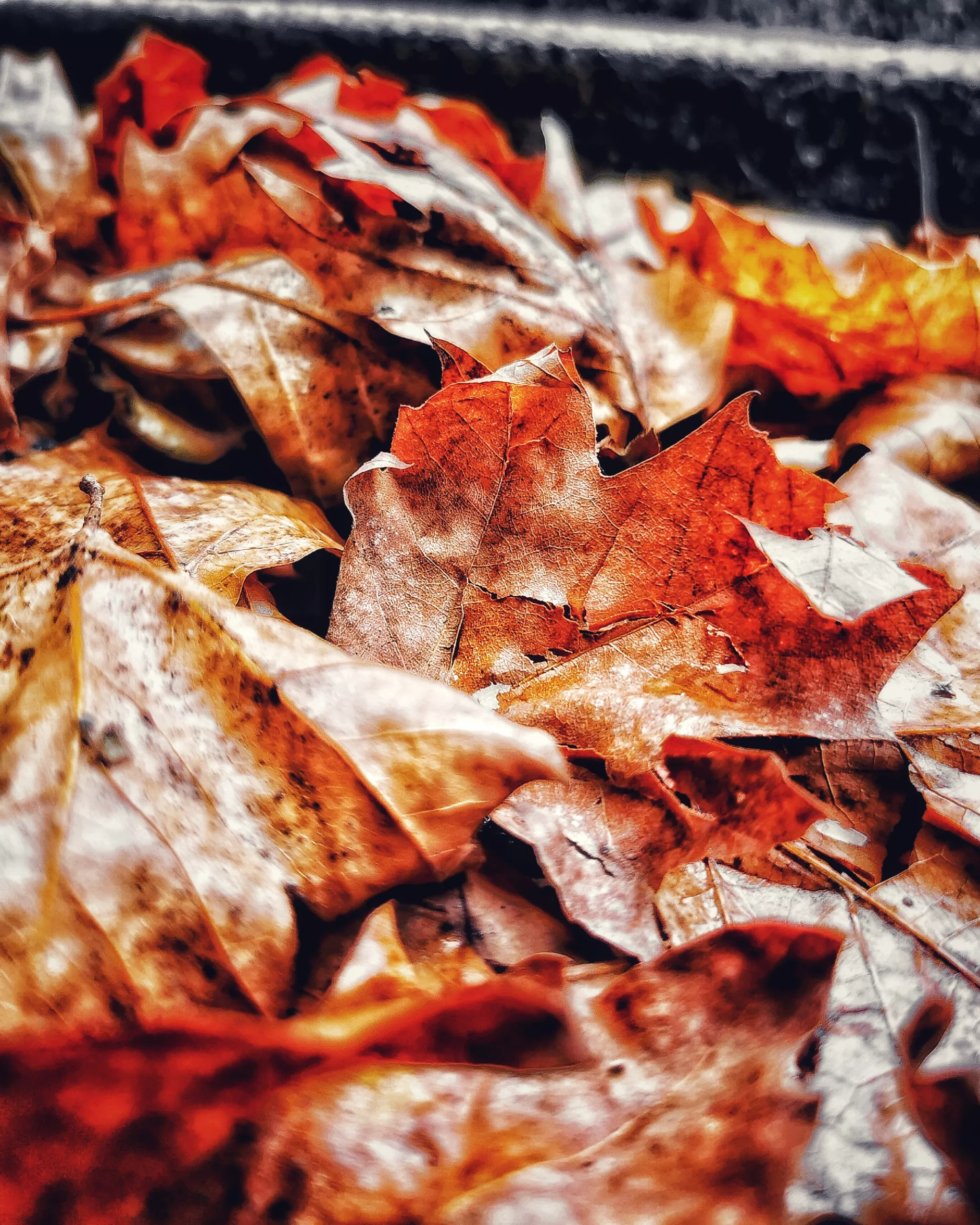 Los pequeños detalles 39 – Fotografía creativa móvil en Barakaldo | Ibarakaldo