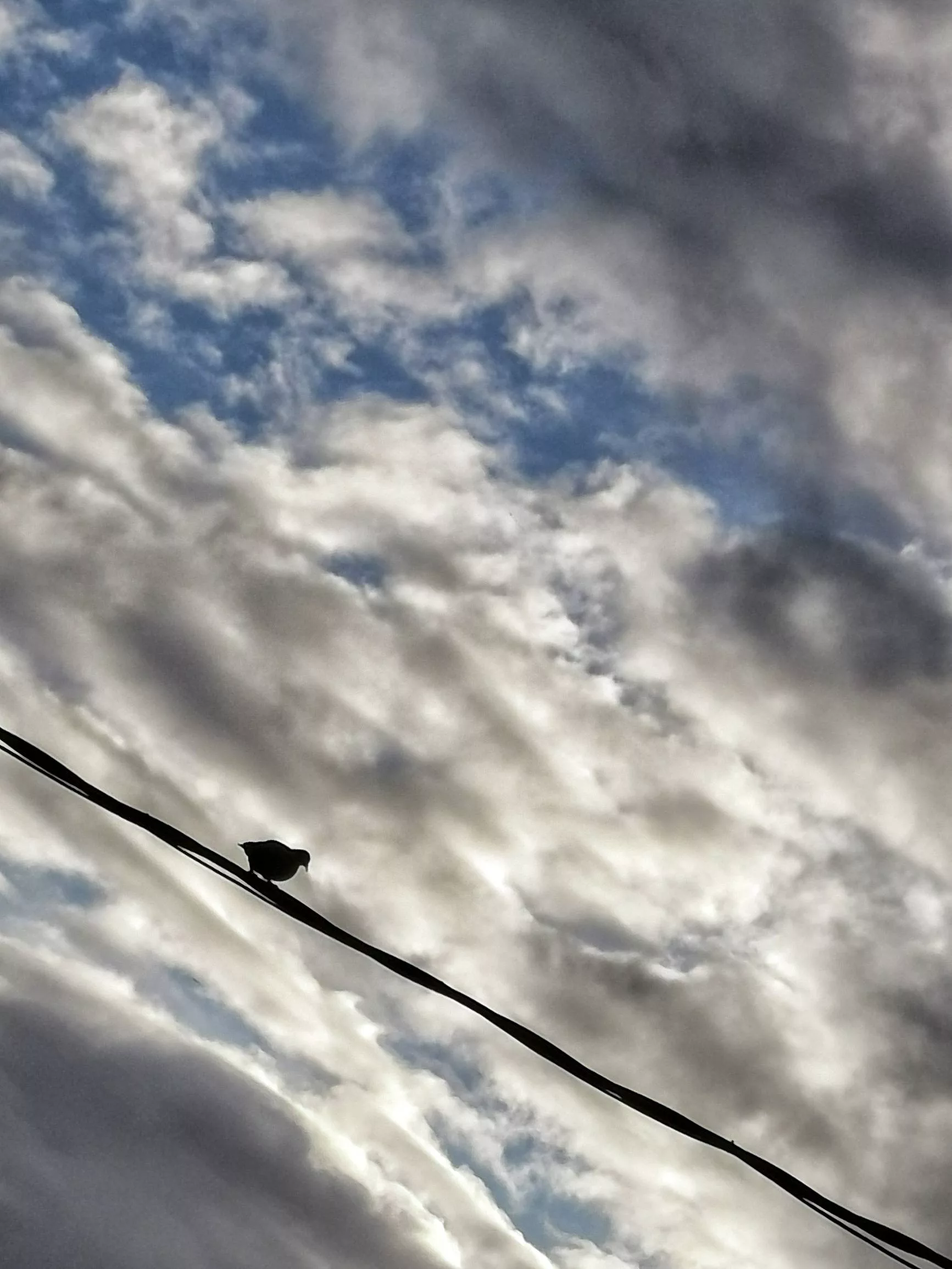 Malabarismos… – Fotografía creativa móvil en Barakaldo | Ibarakaldo