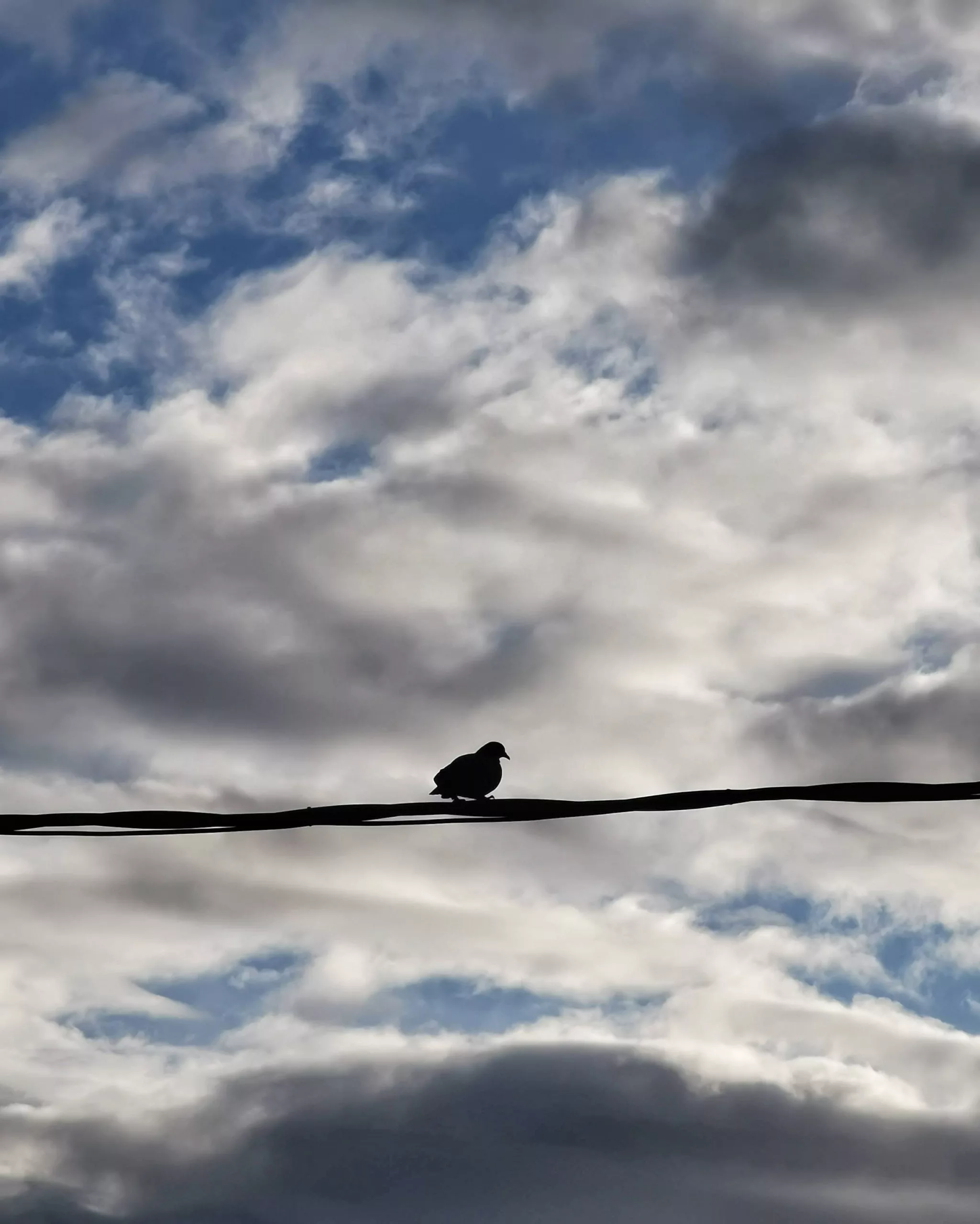 Dejame disfrutar este momento… – Fotografía creativa móvil en Barakaldo | Ibarakaldo