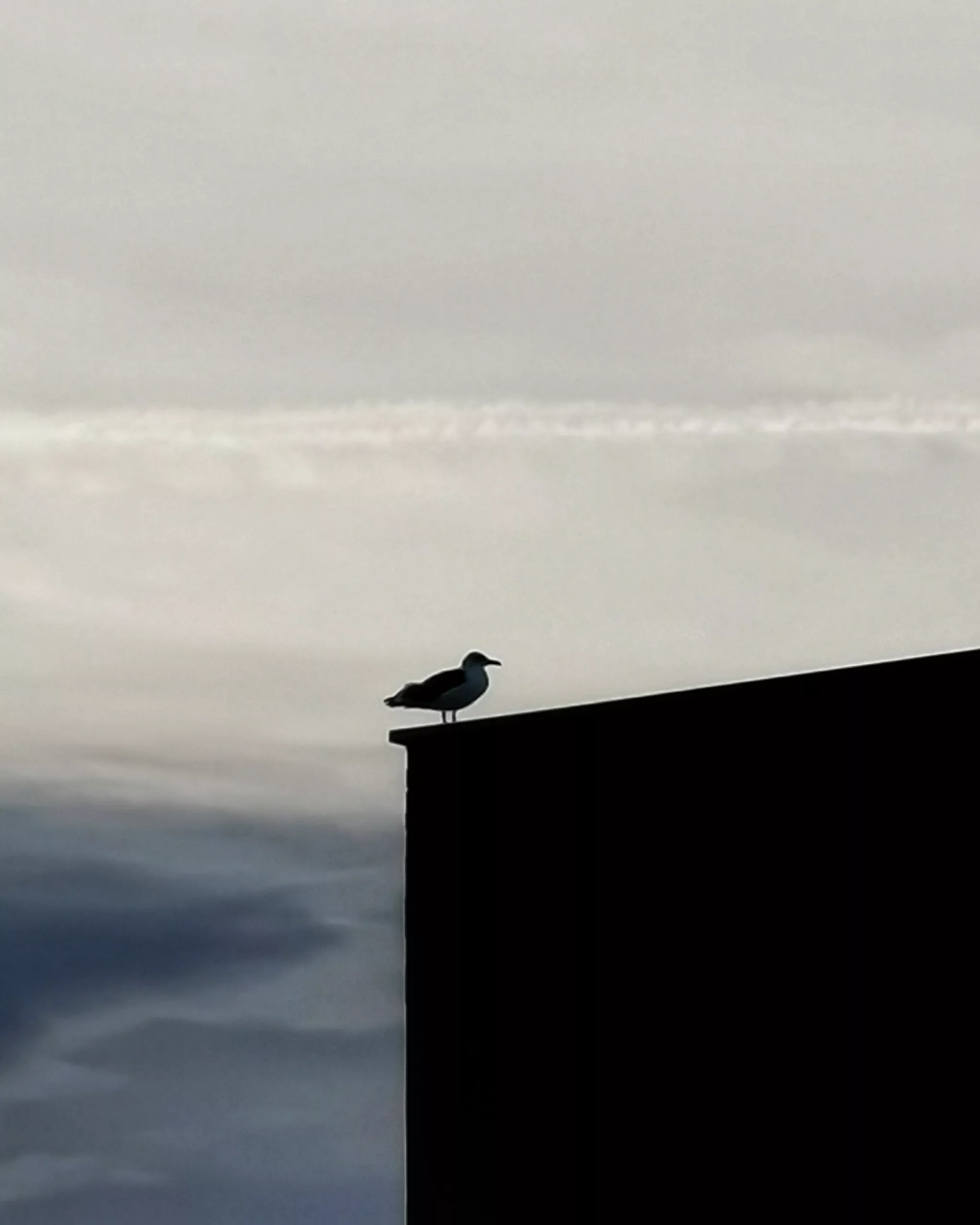 Sin novedad en el frente 3…  – Fotografía creativa móvil en Barakaldo | Ibarakaldo