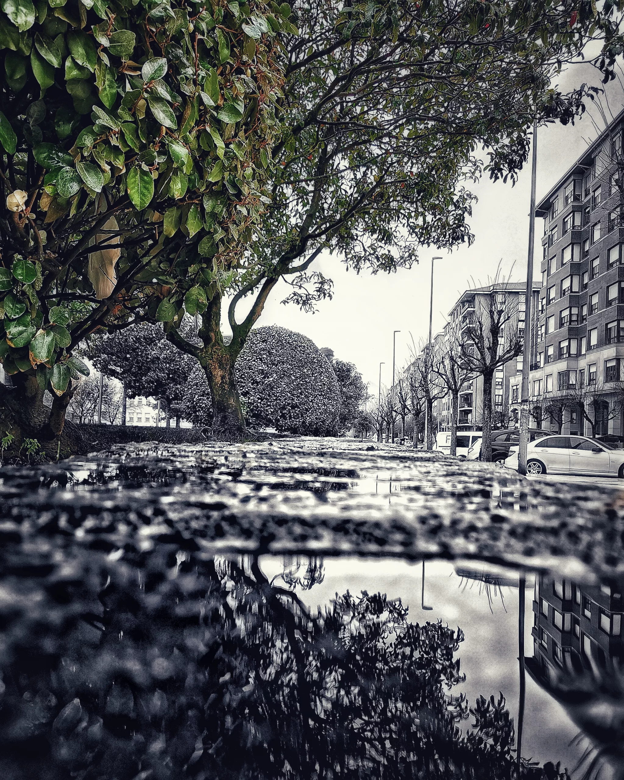 In my Mind – Fotografía creativa móvil en Barakaldo | Ibarakaldo