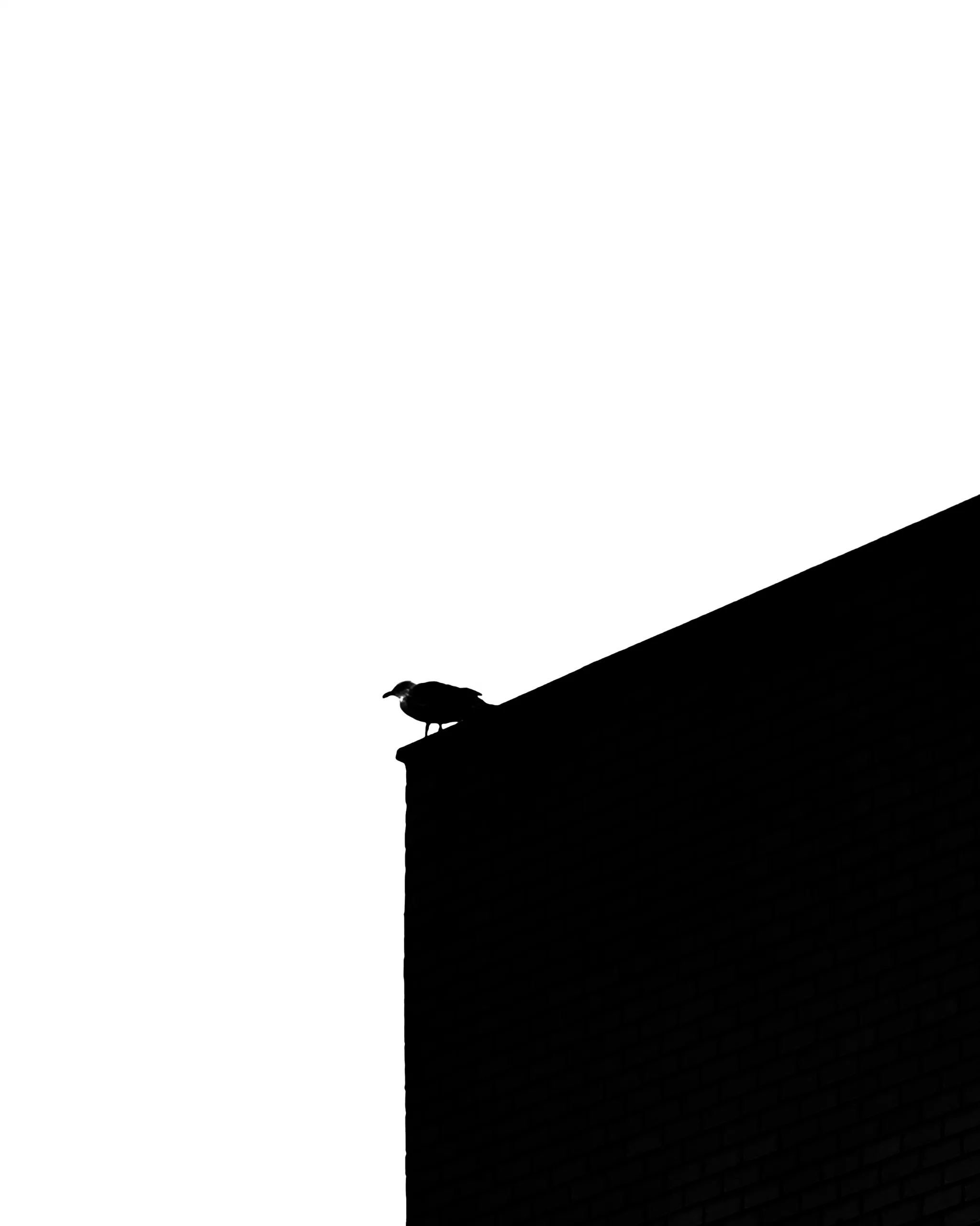 Sin novedad en el frente 4… – Fotografía creativa móvil en Barakaldo | Ibarakaldo