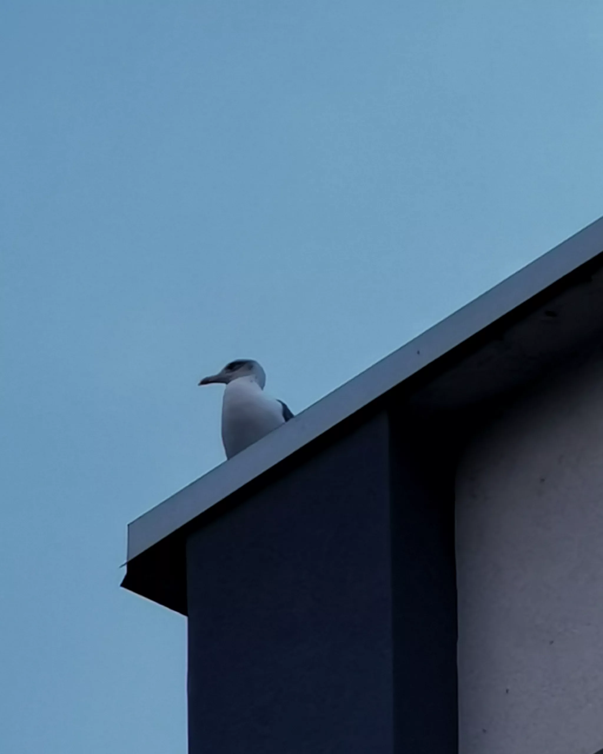 Sin novedad en el frente 5… – Fotografía creativa móvil en Barakaldo | Ibarakaldo