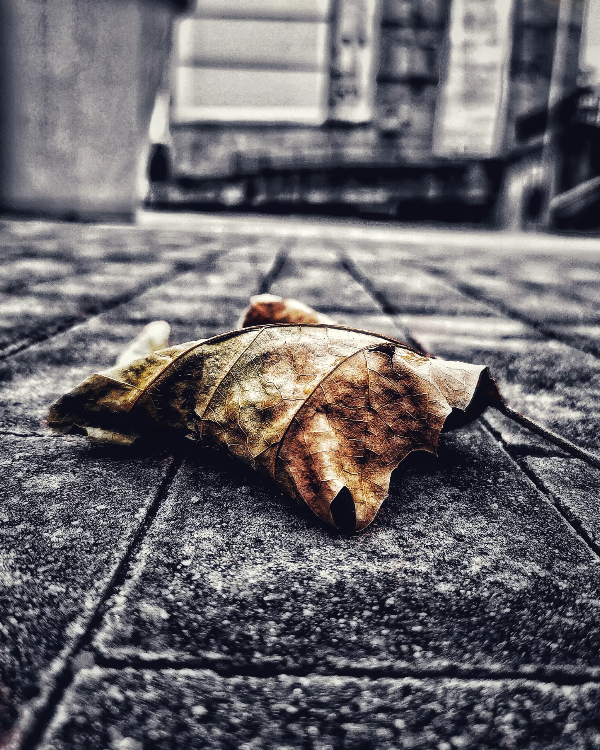 Los pequeños detalles 42 – Fotografía creativa móvil en Barakaldo | Ibarakaldo