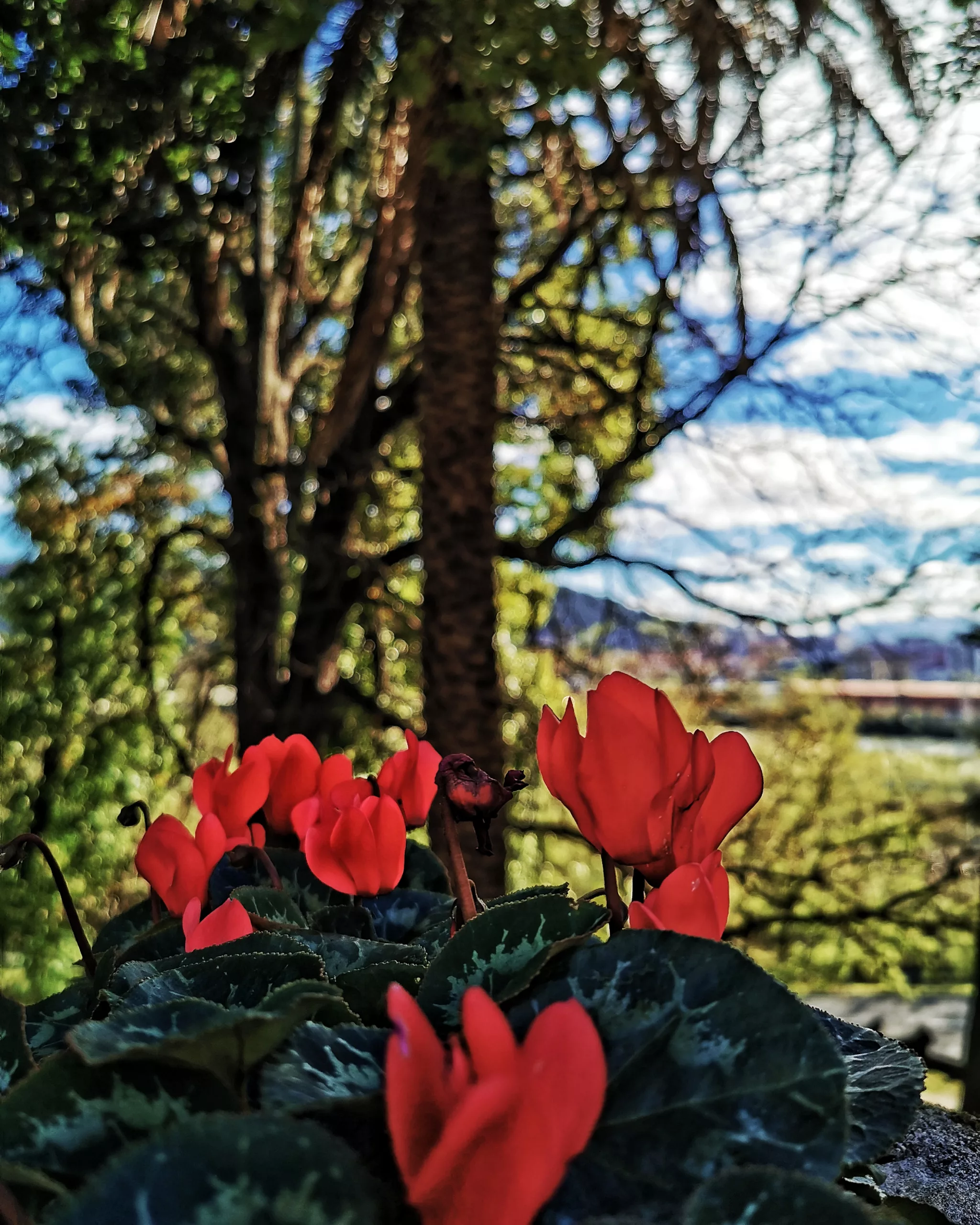 Palacio de Munoa. Paz…  – Fotografía creativa móvil en Barakaldo | Ibarakaldo
