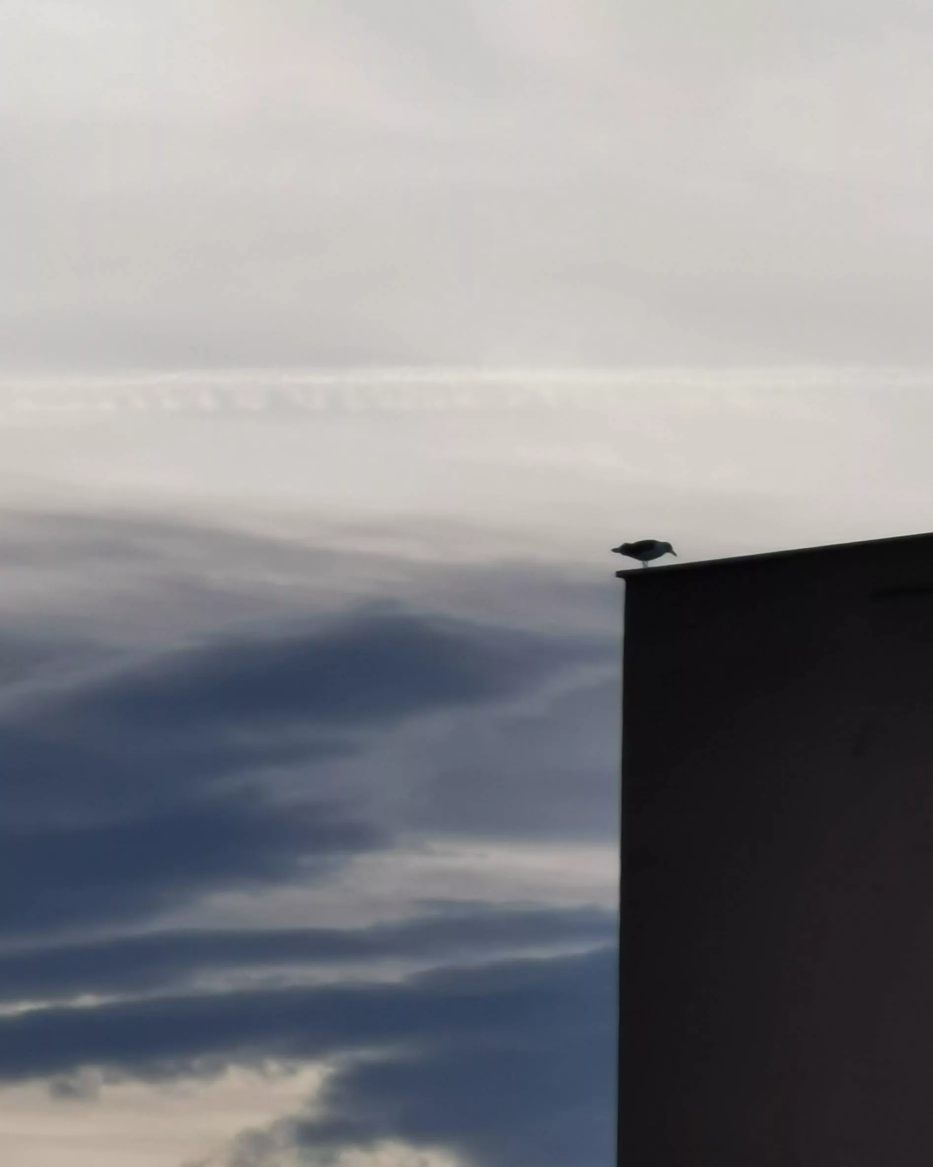 BREAKing Moment – Fotografía creativa móvil en Barakaldo | Ibarakaldo