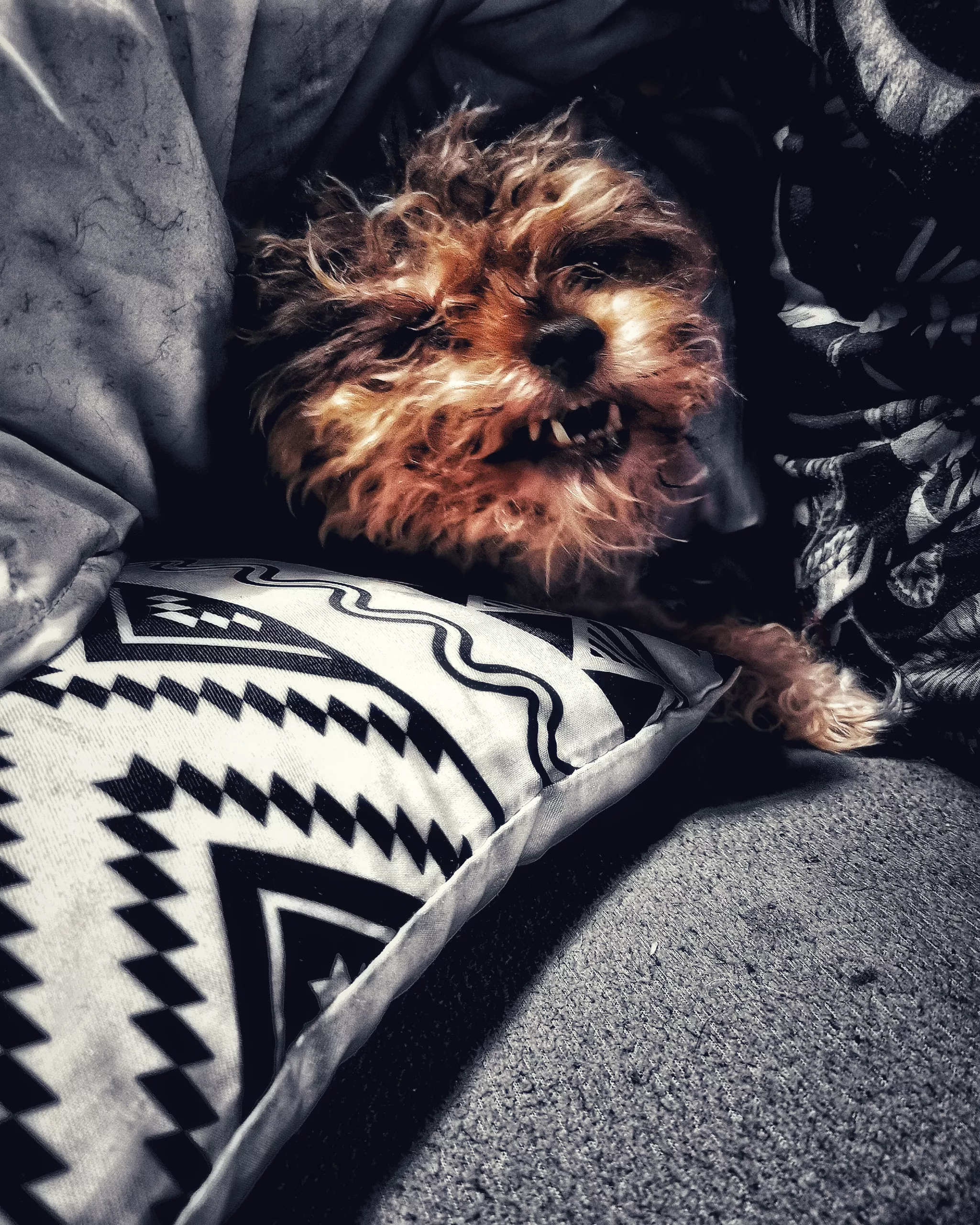 Kenya en modo CHUCKY  | Aventuras y Travesuras de Kenya