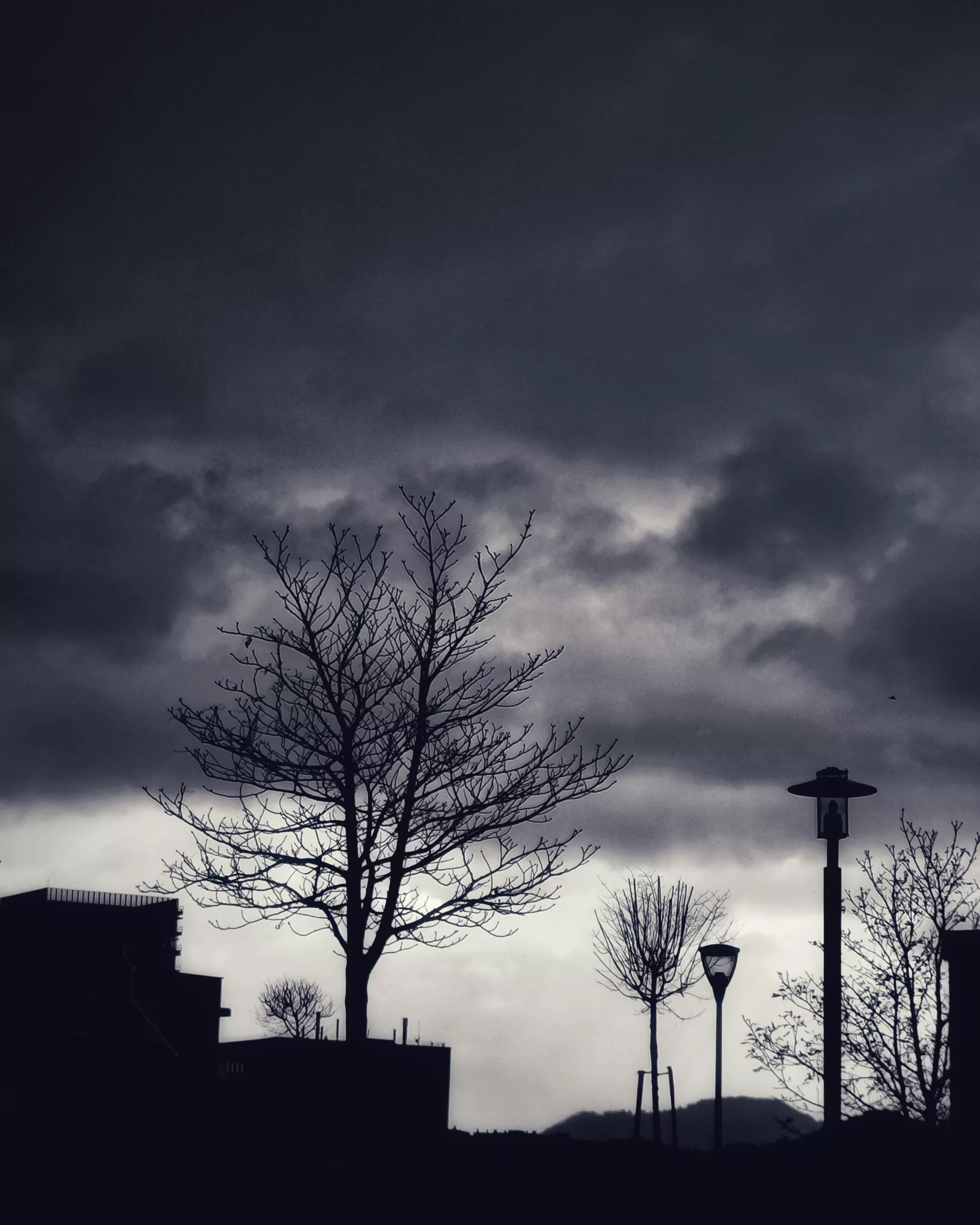 The Exorcist – Fotografía creativa móvil en Barakaldo | Ibarakaldo