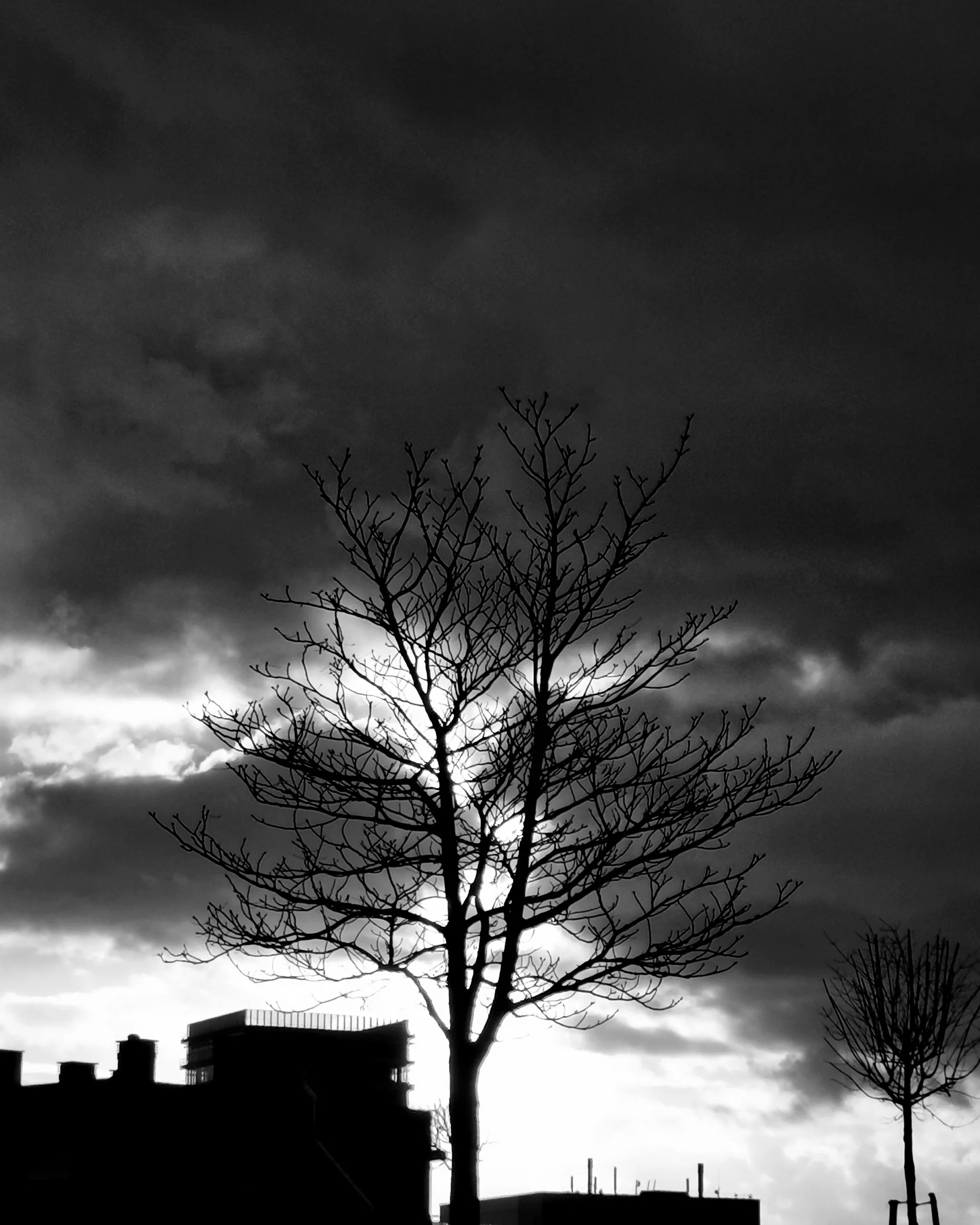 Alone in the Dark – Fotografía creativa móvil en Barakaldo | Ibarakaldo