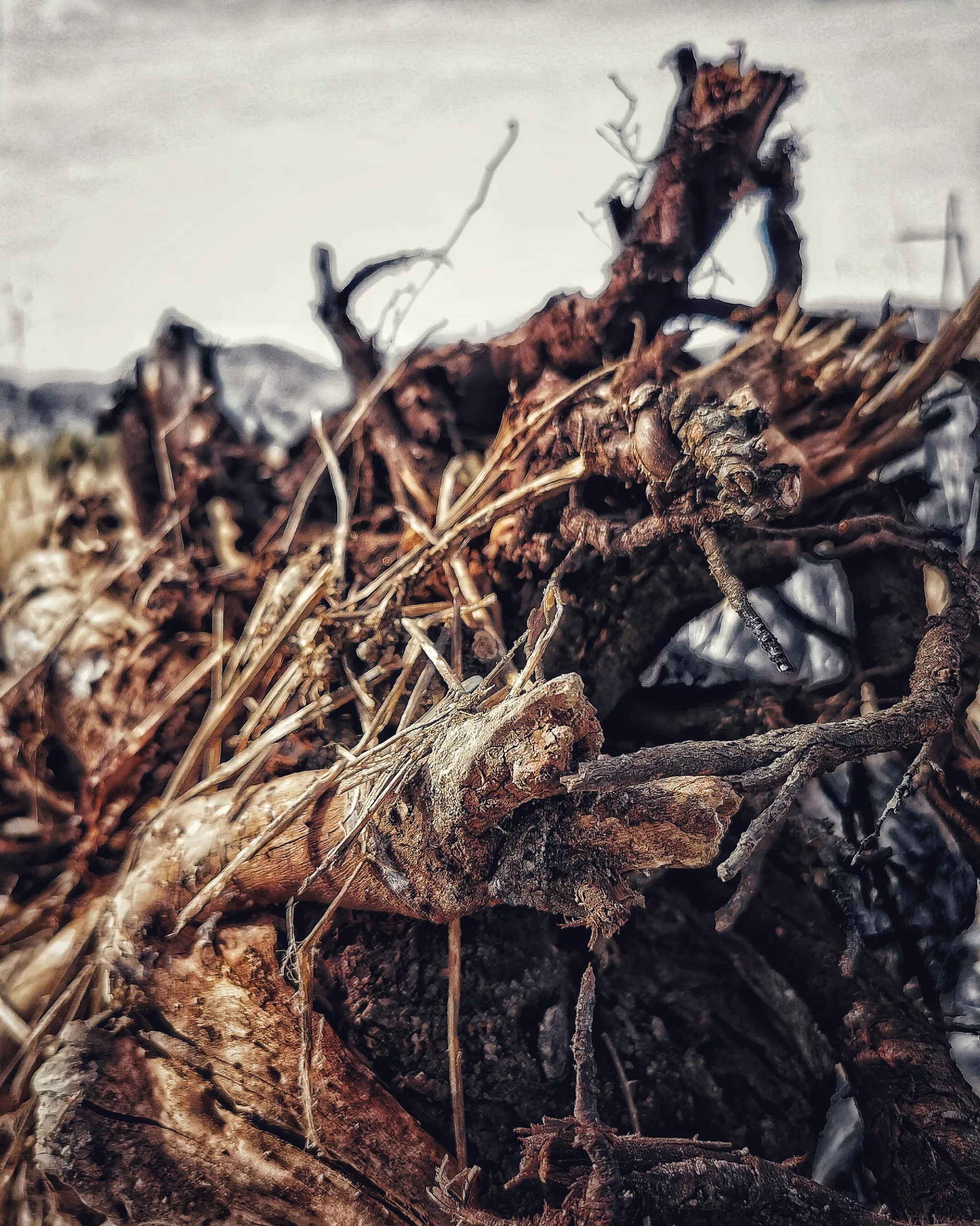 Los pequeños detalles 47 – Fotografía creativa móvil en Barakaldo | Ibarakaldo