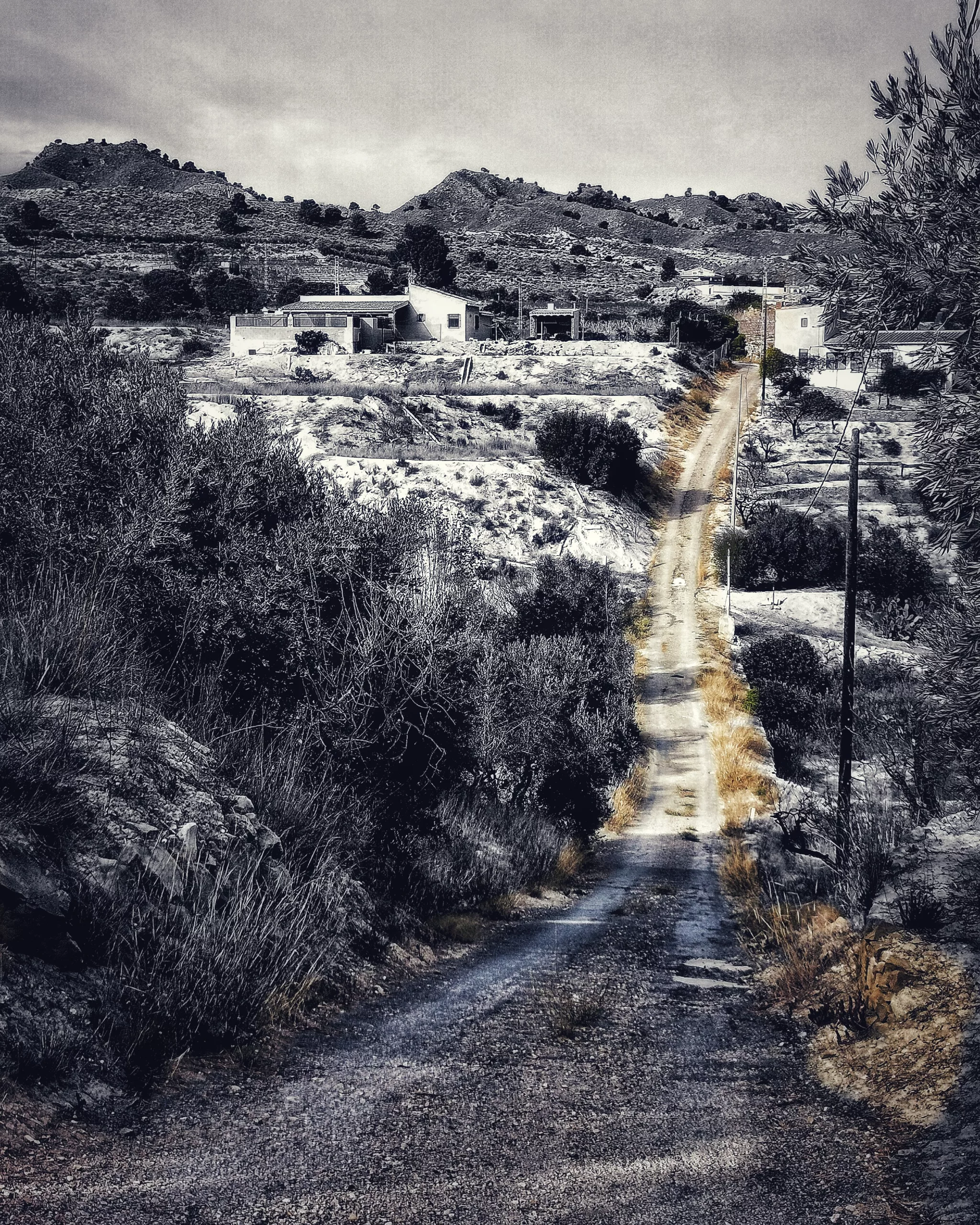 Camino | Momentos Splash. Fotografía Creativa Ibarakaldo