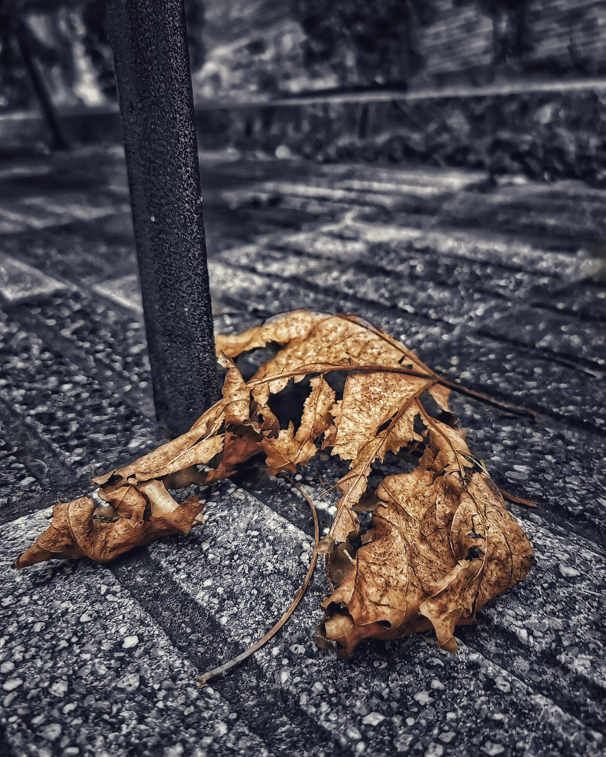 Los pequeños detalles 43 – Fotografía creativa móvil en Barakaldo | Ibarakaldo