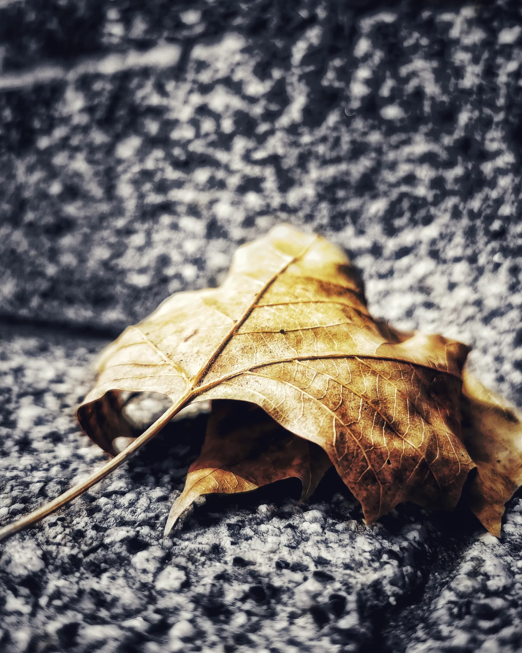 Los pequeños detalles 44 – Fotografía creativa móvil en Barakaldo | Ibarakaldo