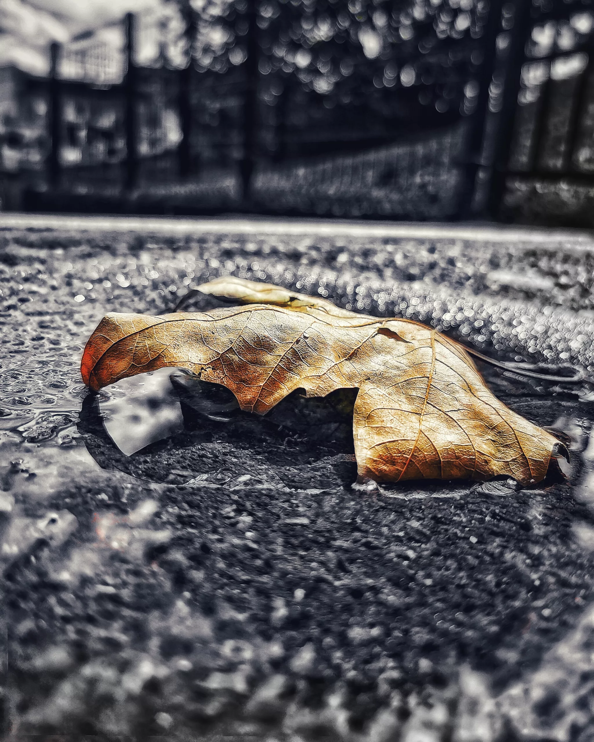 Los pequeños detalles 45 – Fotografía creativa móvil en Barakaldo | Ibarakaldo