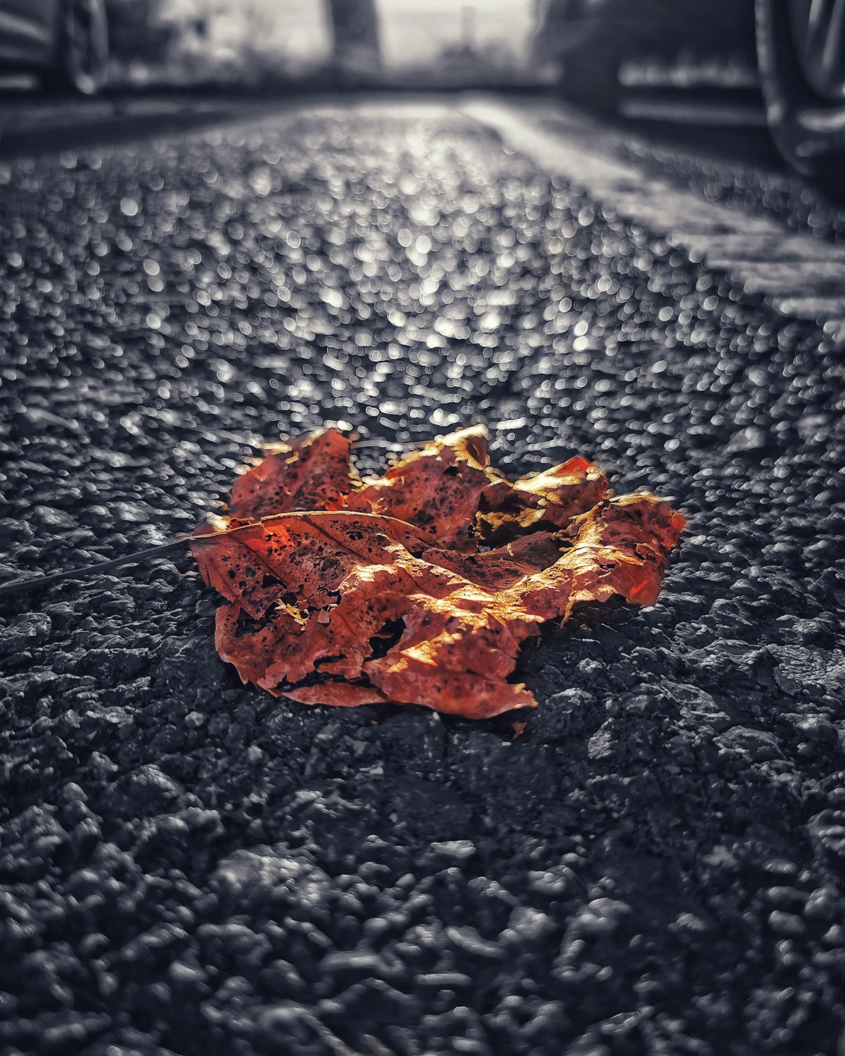 Los pequeños detalles 46 – Fotografía creativa móvil en Barakaldo | Ibarakaldo