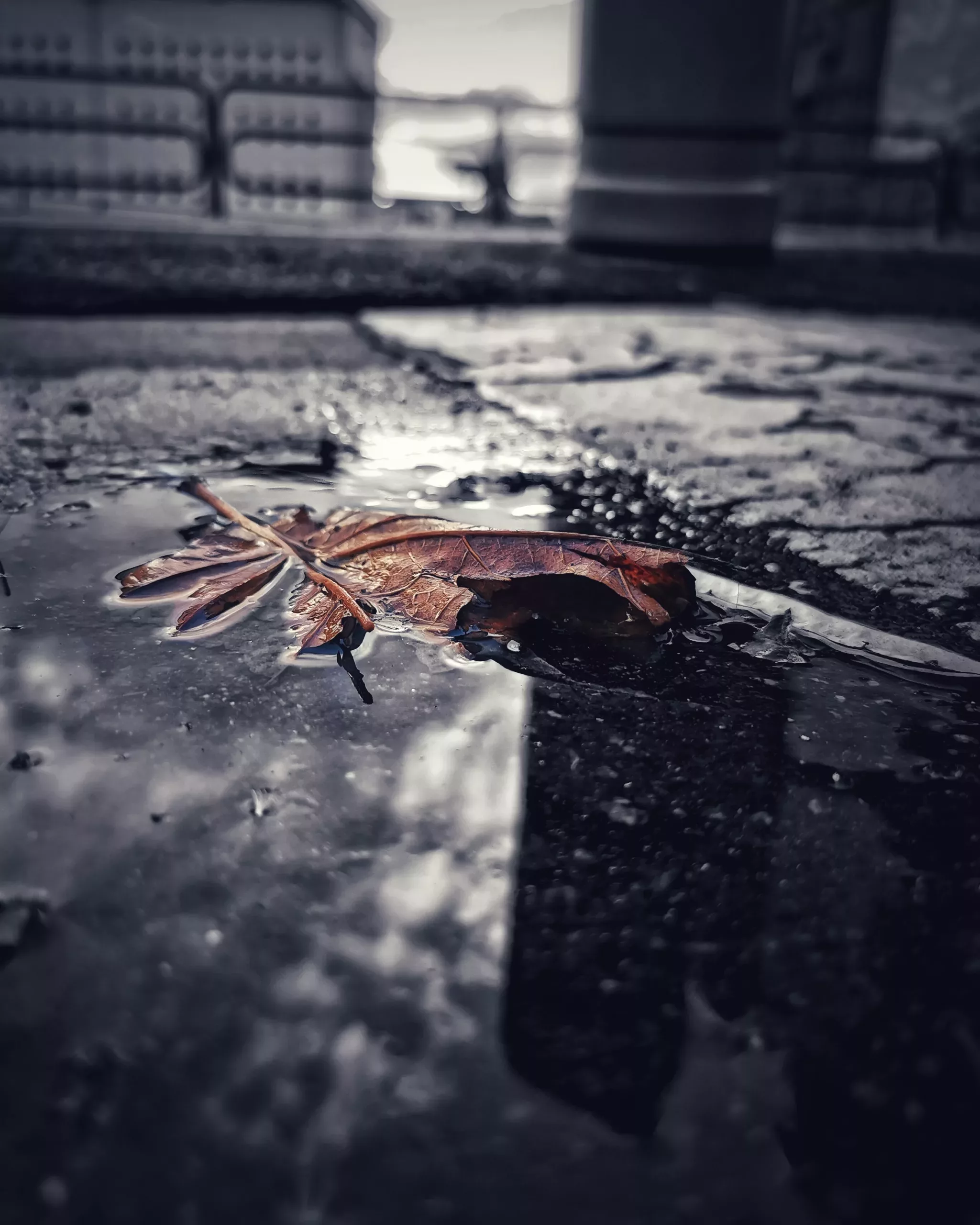 Los pequeños detalles 52 – Fotografía creativa móvil en Barakaldo | Ibarakaldo