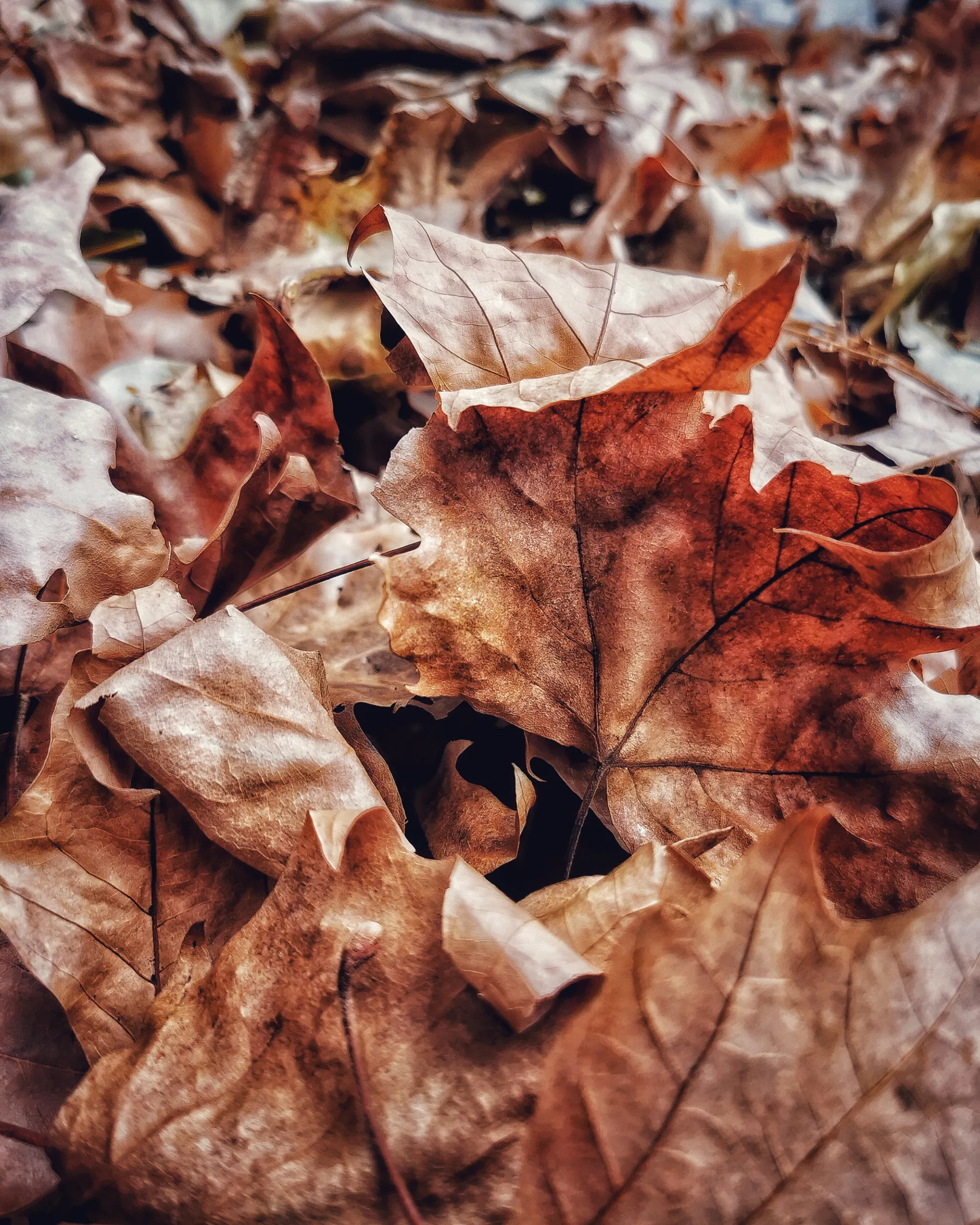 Los pequeños detalles 50 – Fotografía creativa móvil en Barakaldo | Ibarakaldo