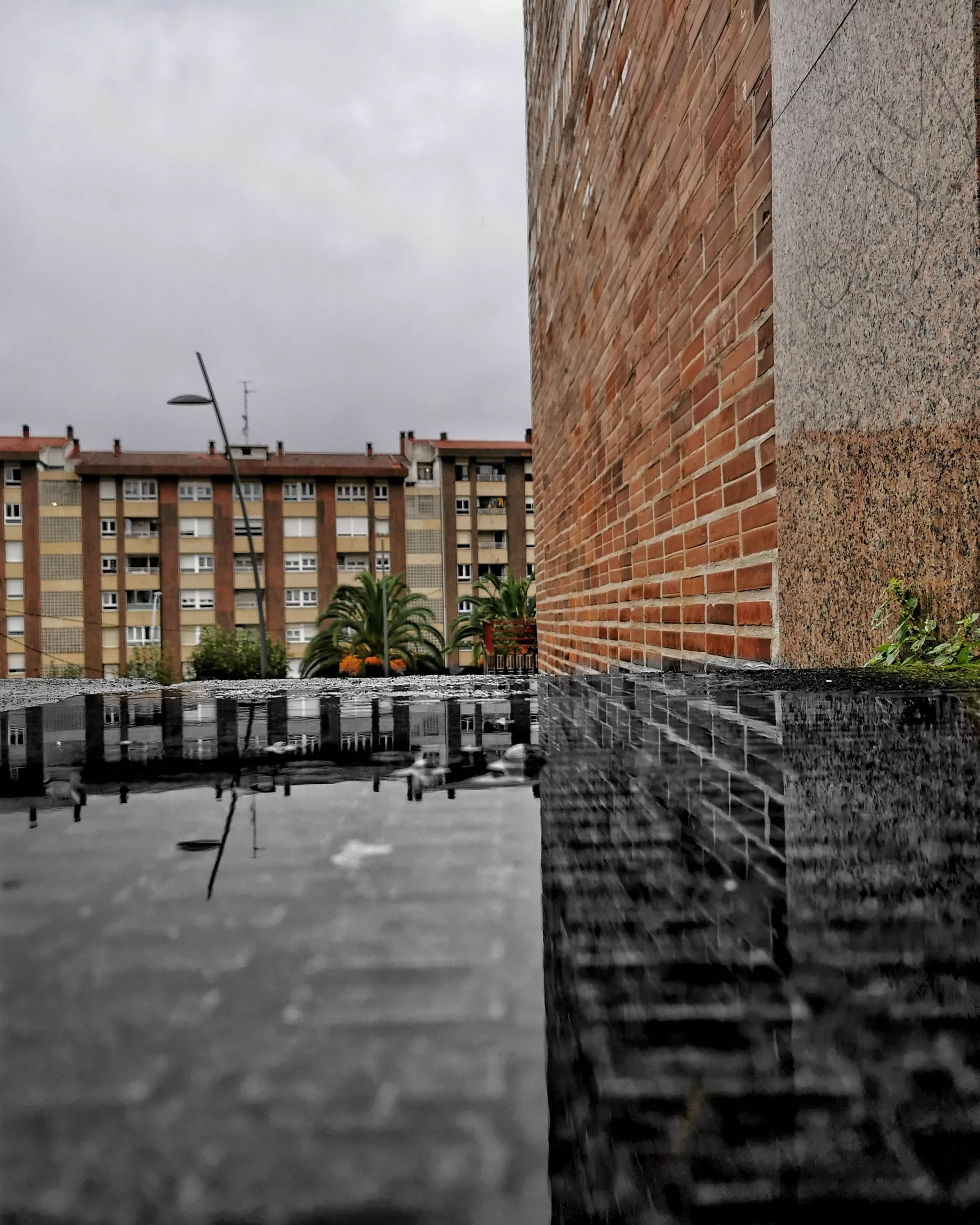 Reflejos Gurutzeta – Fotografía creativa móvil en Barakaldo | Ibarakaldo