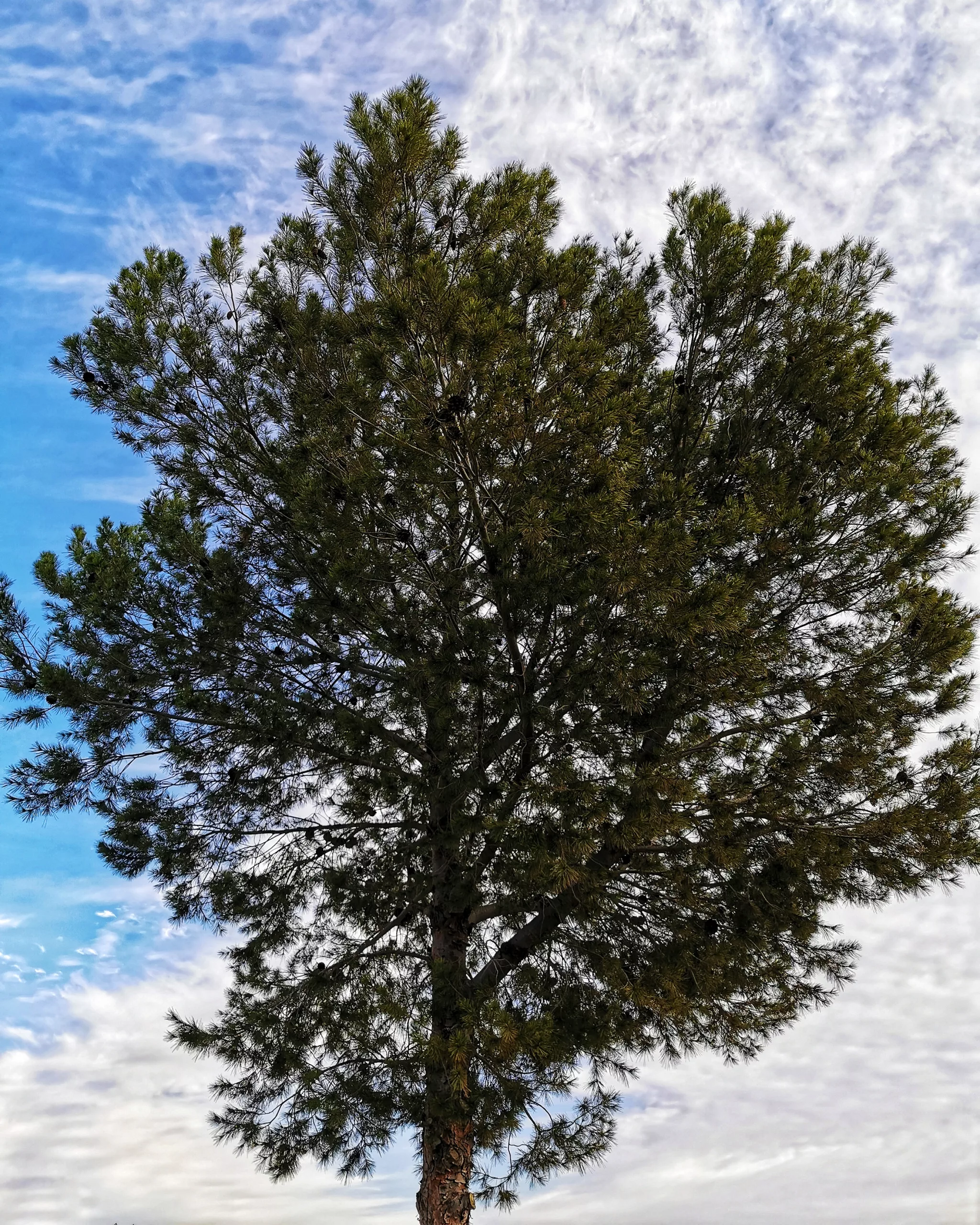 SIMPLY…Simply – Fotografía creativa móvil en Barakaldo | Ibarakaldo