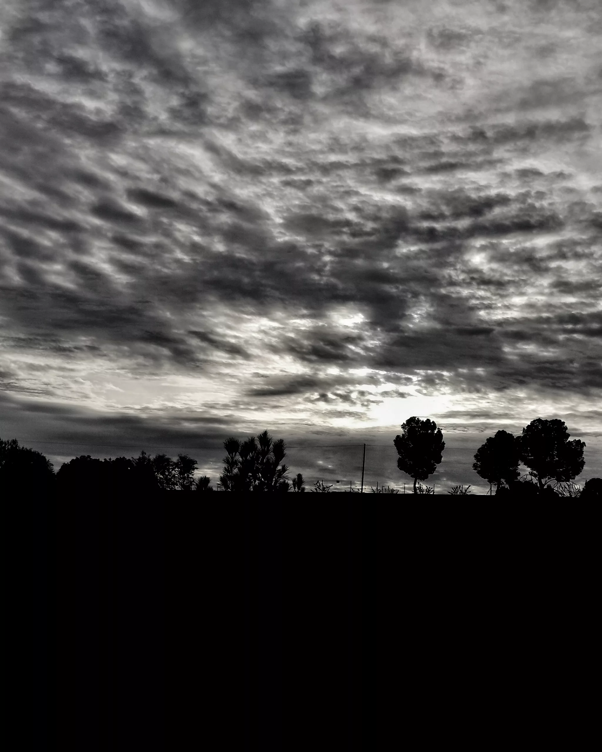Apocalipsis Zombie – Fotografía creativa móvil en Barakaldo | Ibarakaldo