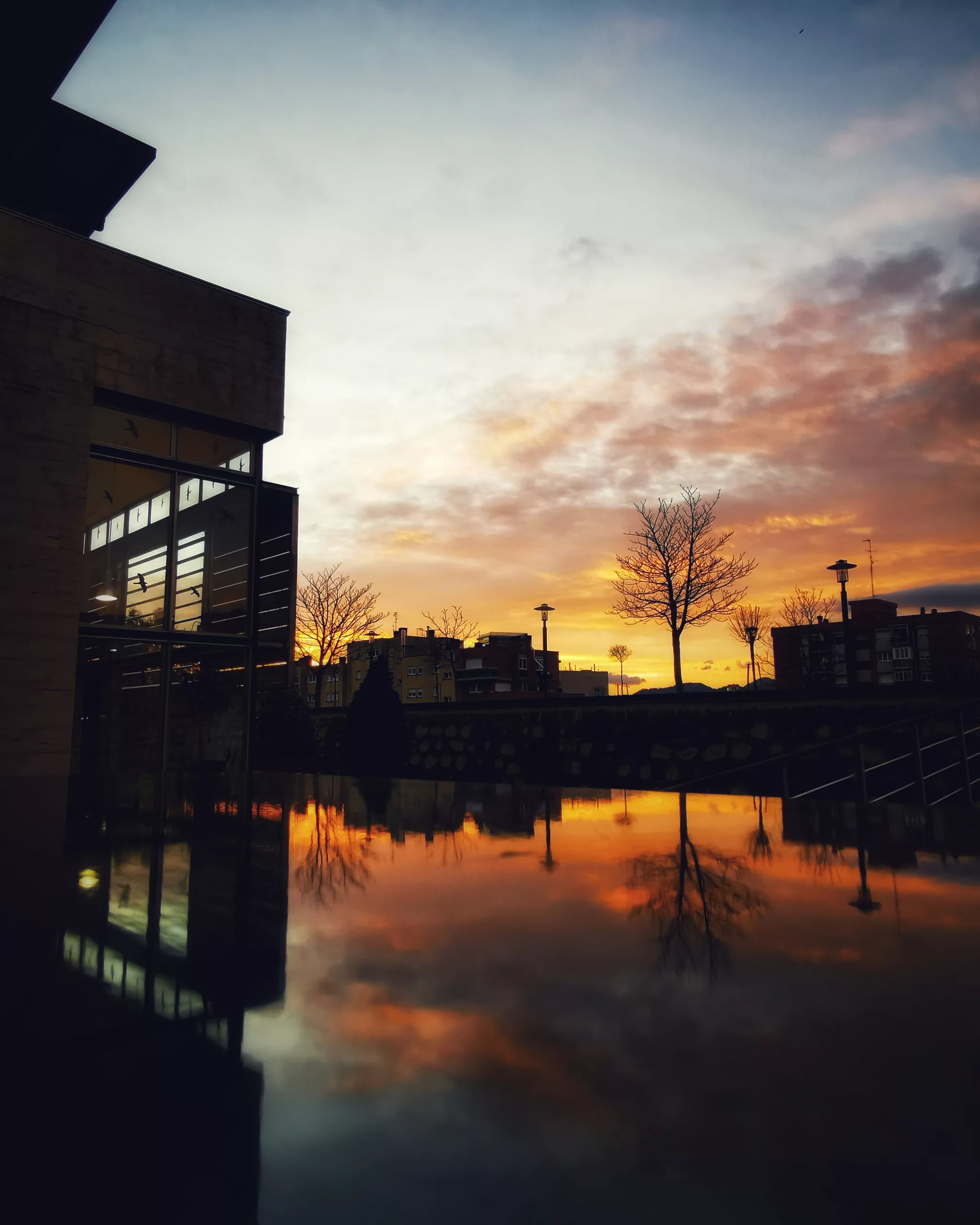 BARAKALDO  Disfrutar el Momento – Fotografía creativa móvil en Barakaldo | Ibarakaldo