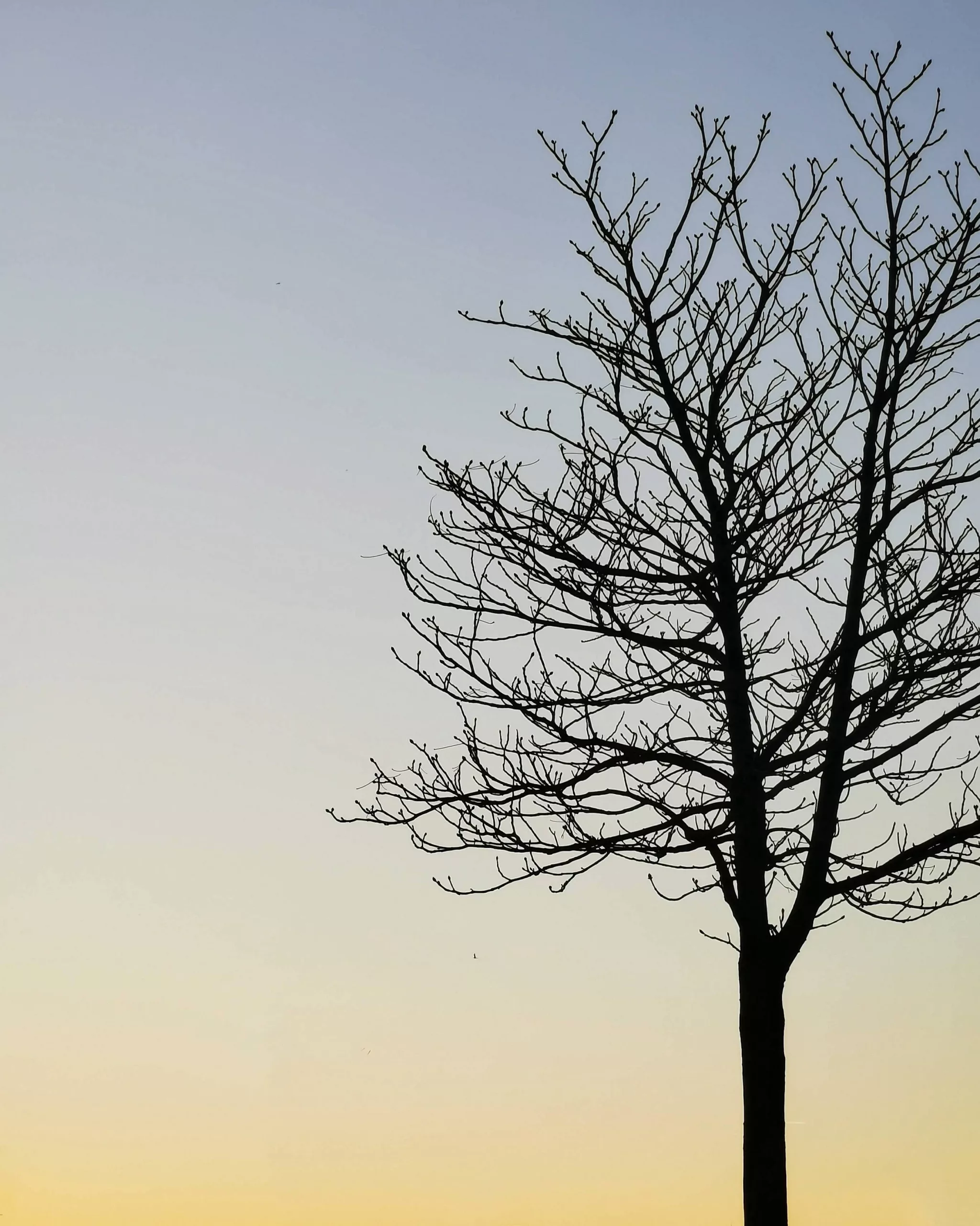 What a Wonderful World – Fotografía creativa móvil en Barakaldo | Ibarakaldo