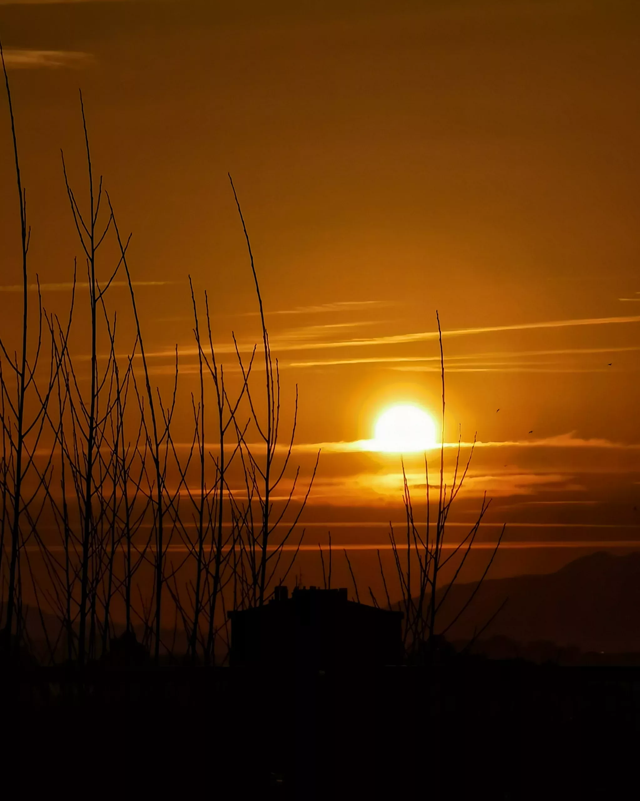 Now we are free – Fotografía creativa móvil en Barakaldo | Ibarakaldo