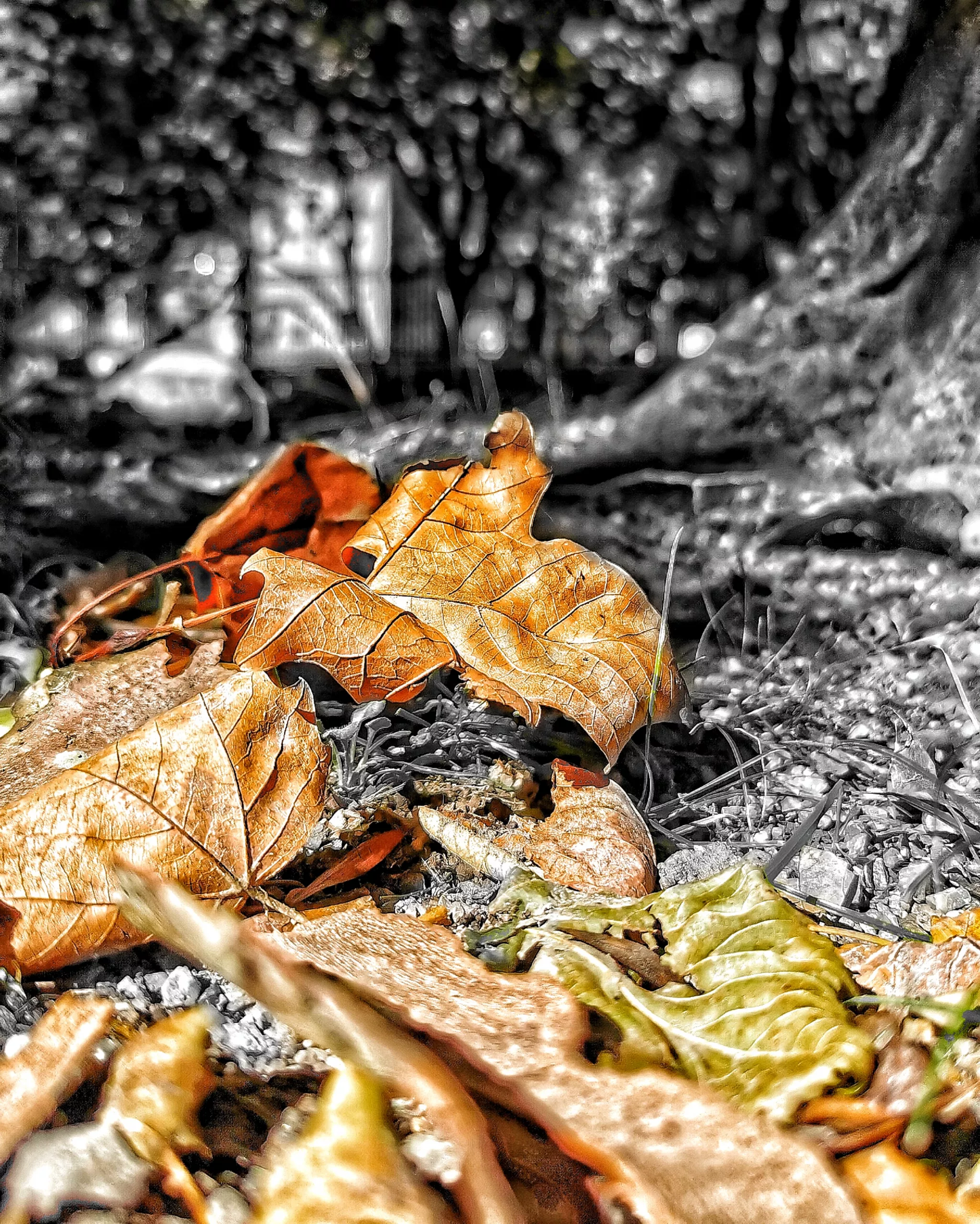 Los pequeños detalles 48 – Fotografía creativa móvil en Barakaldo | Ibarakaldo