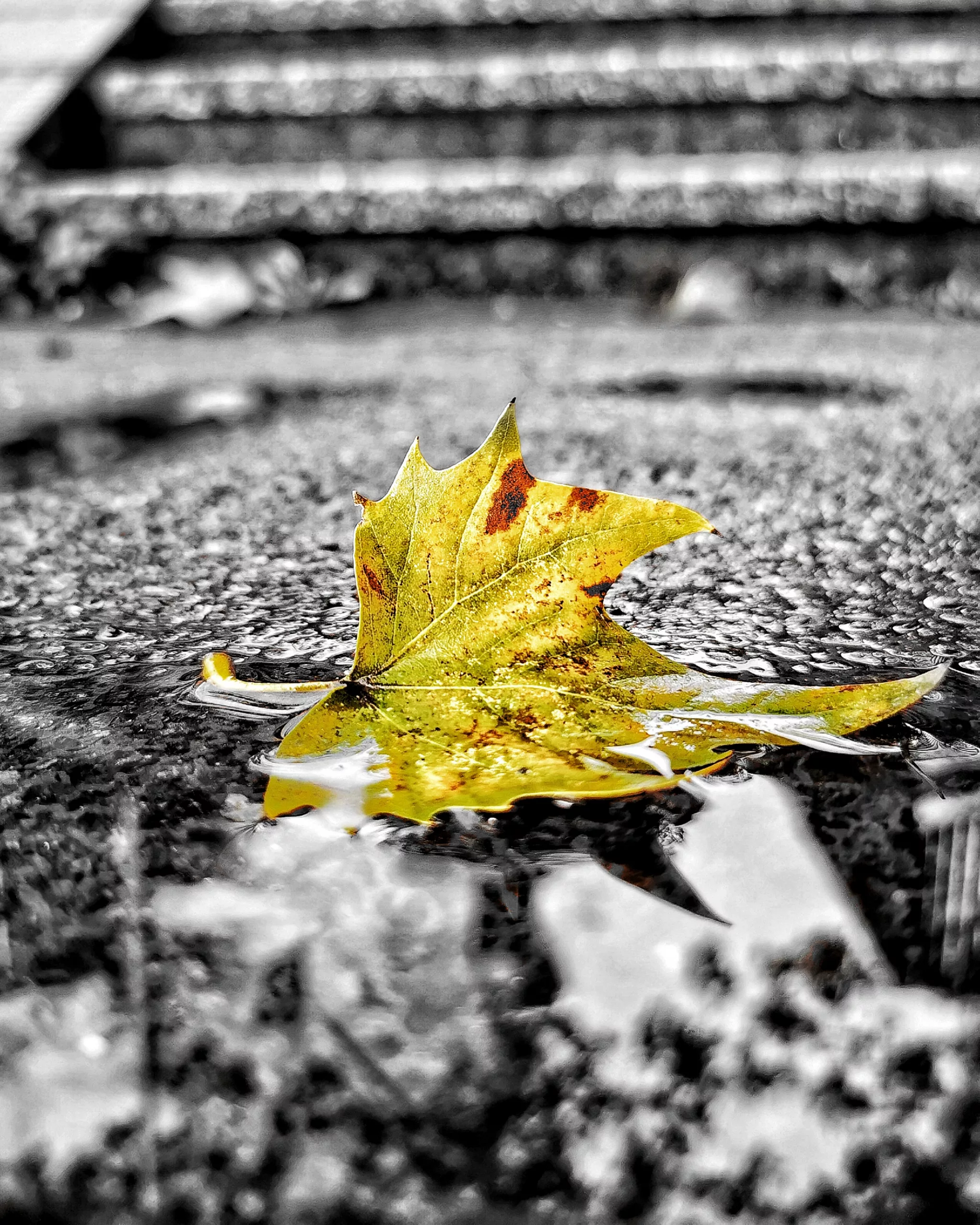 Los pequeños detalles 51 – Fotografía creativa móvil en Barakaldo | Ibarakaldo