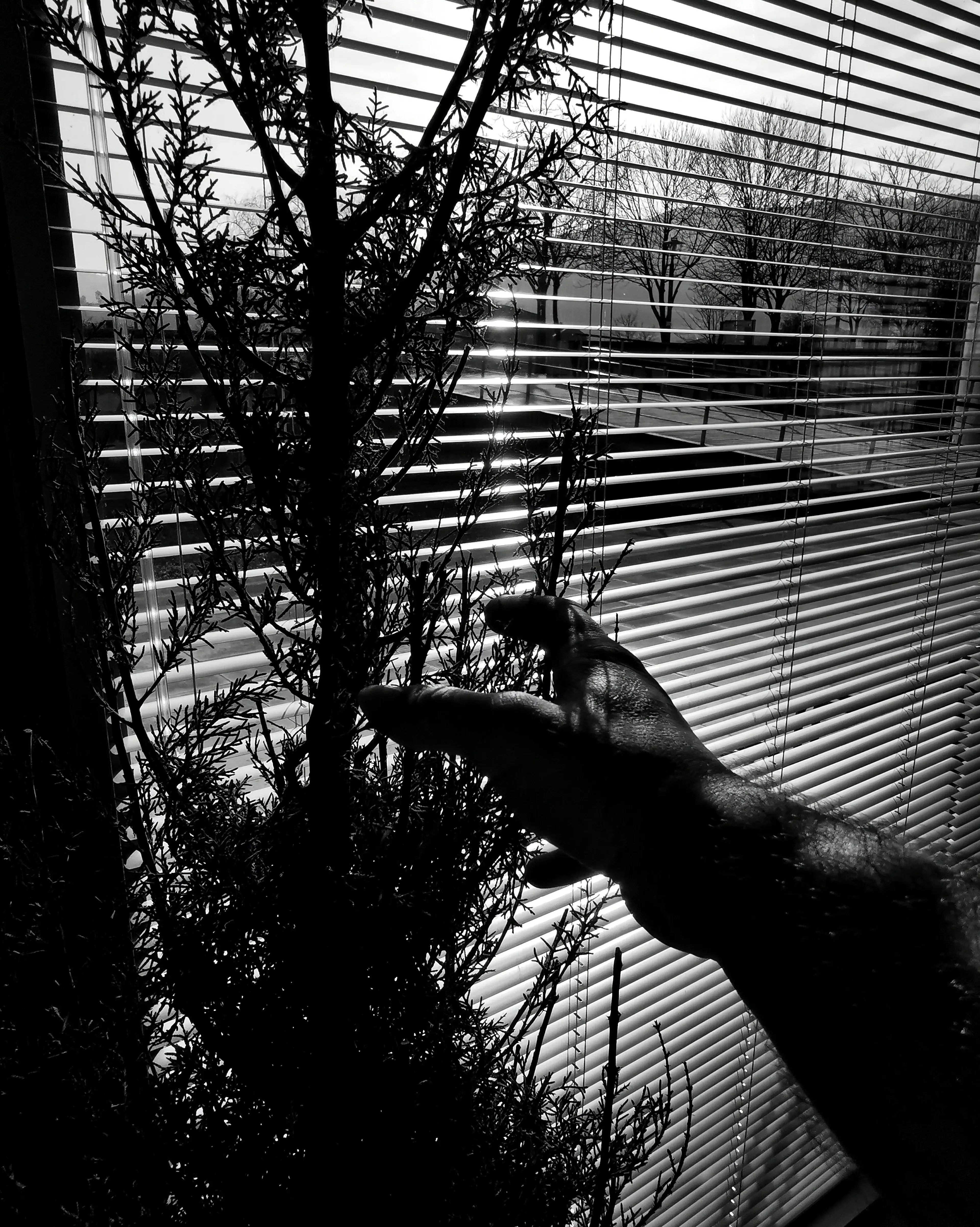 Curiosidad…. – Fotografía creativa móvil en Barakaldo | Ibarakaldo